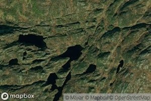 Storbekktjornin