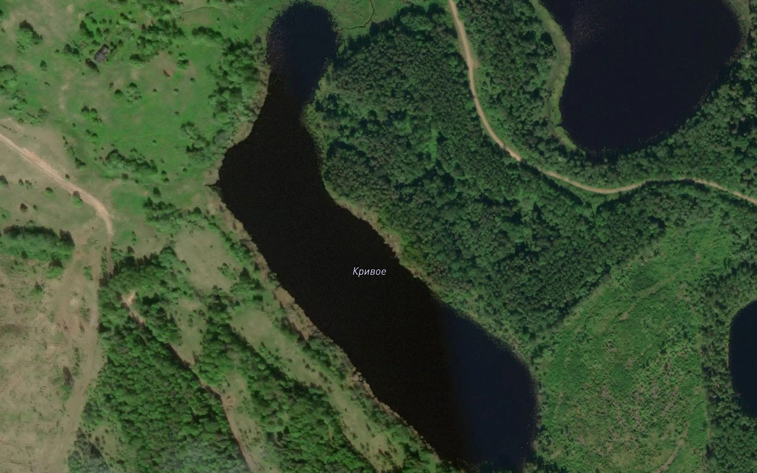 Ozero Krivoye