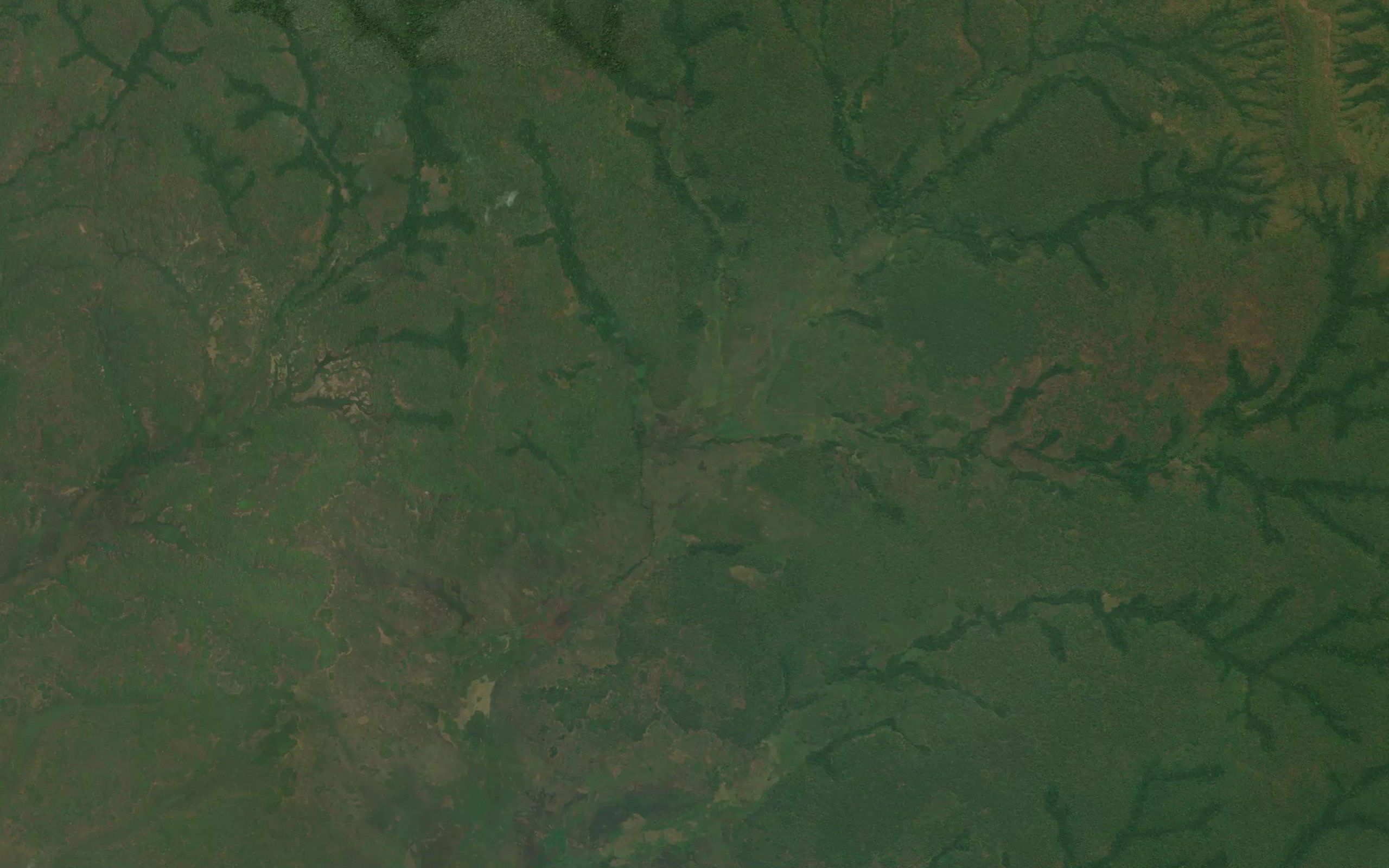 Mbambi