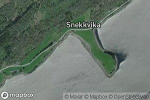 Snekkvika