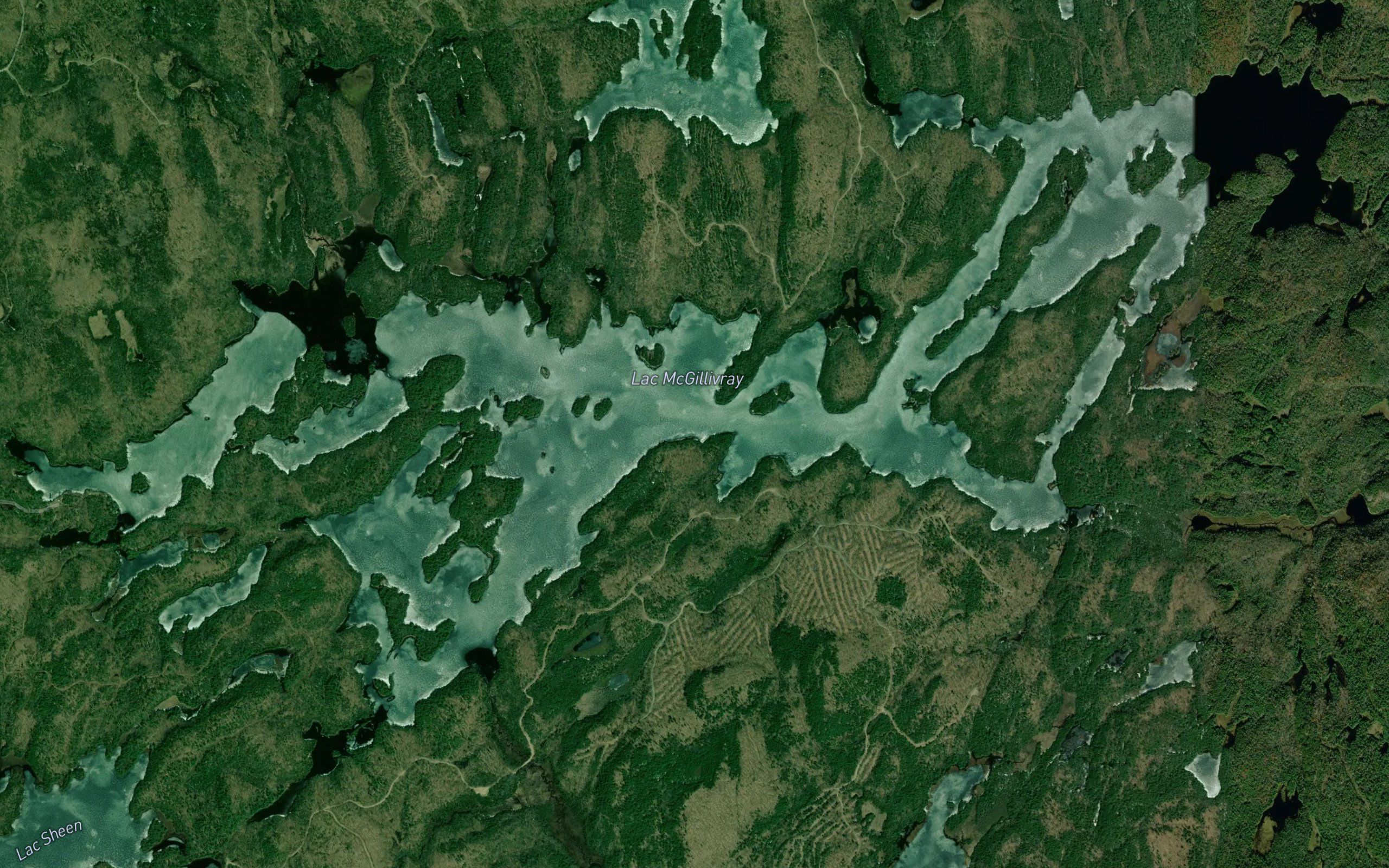 Lac McGillivray