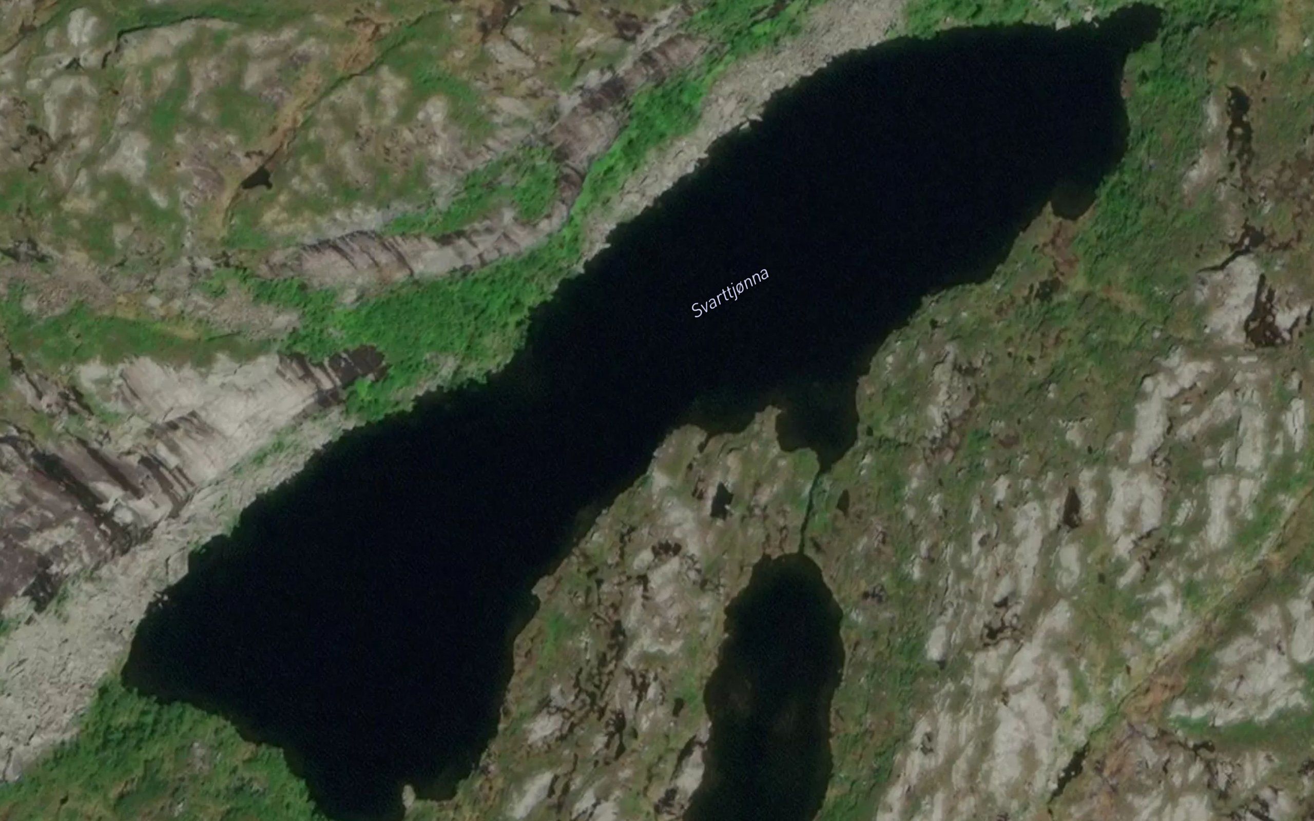 Svarttjorna
