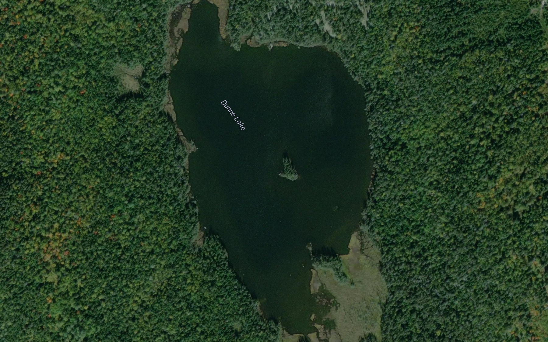 Satellite map of the Dunne Lake