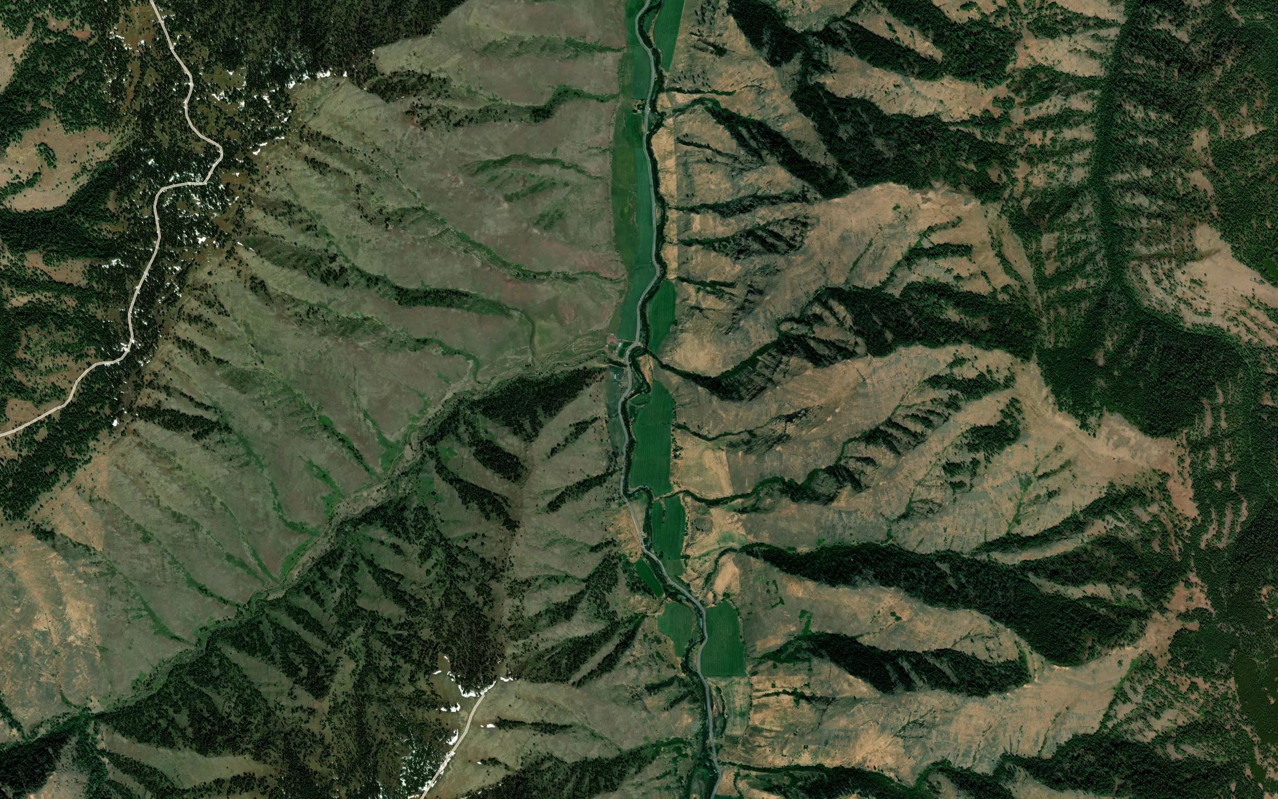 Shin Creek