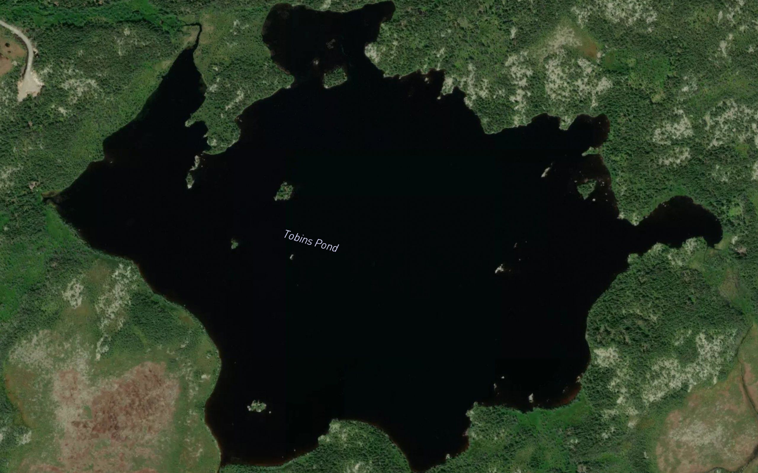 Tobins Pond