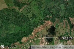 Morichal Los Becerros