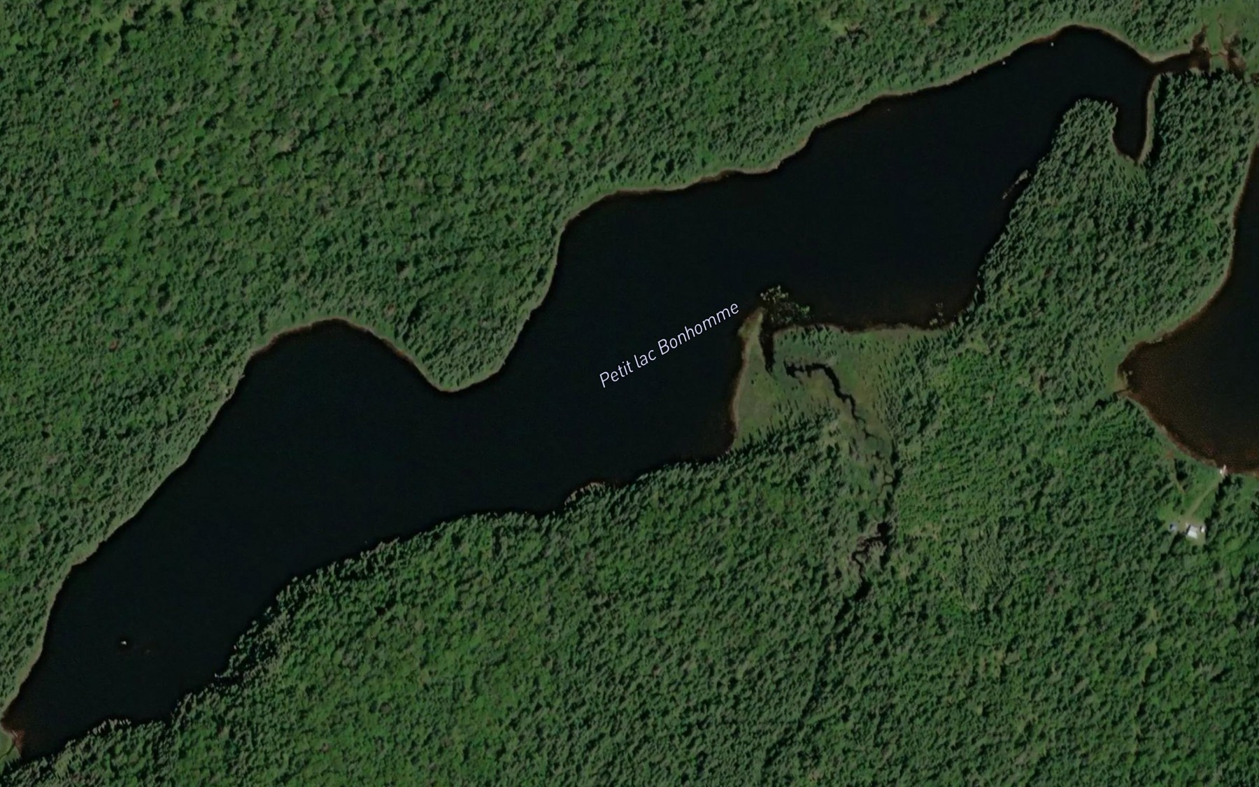 Satellite map of the Petit lac Bonhomme