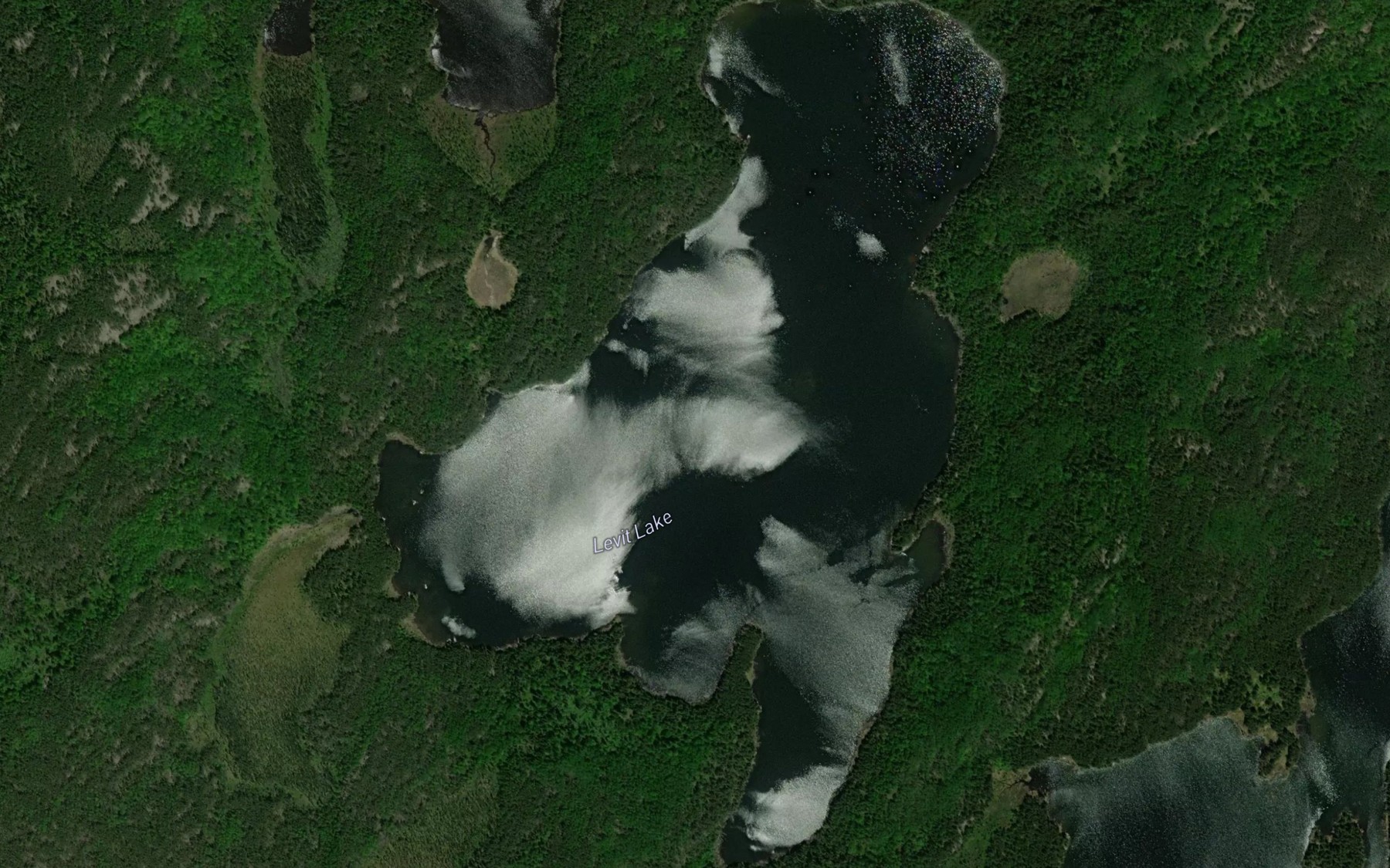 Satellite map of the Levit Lake