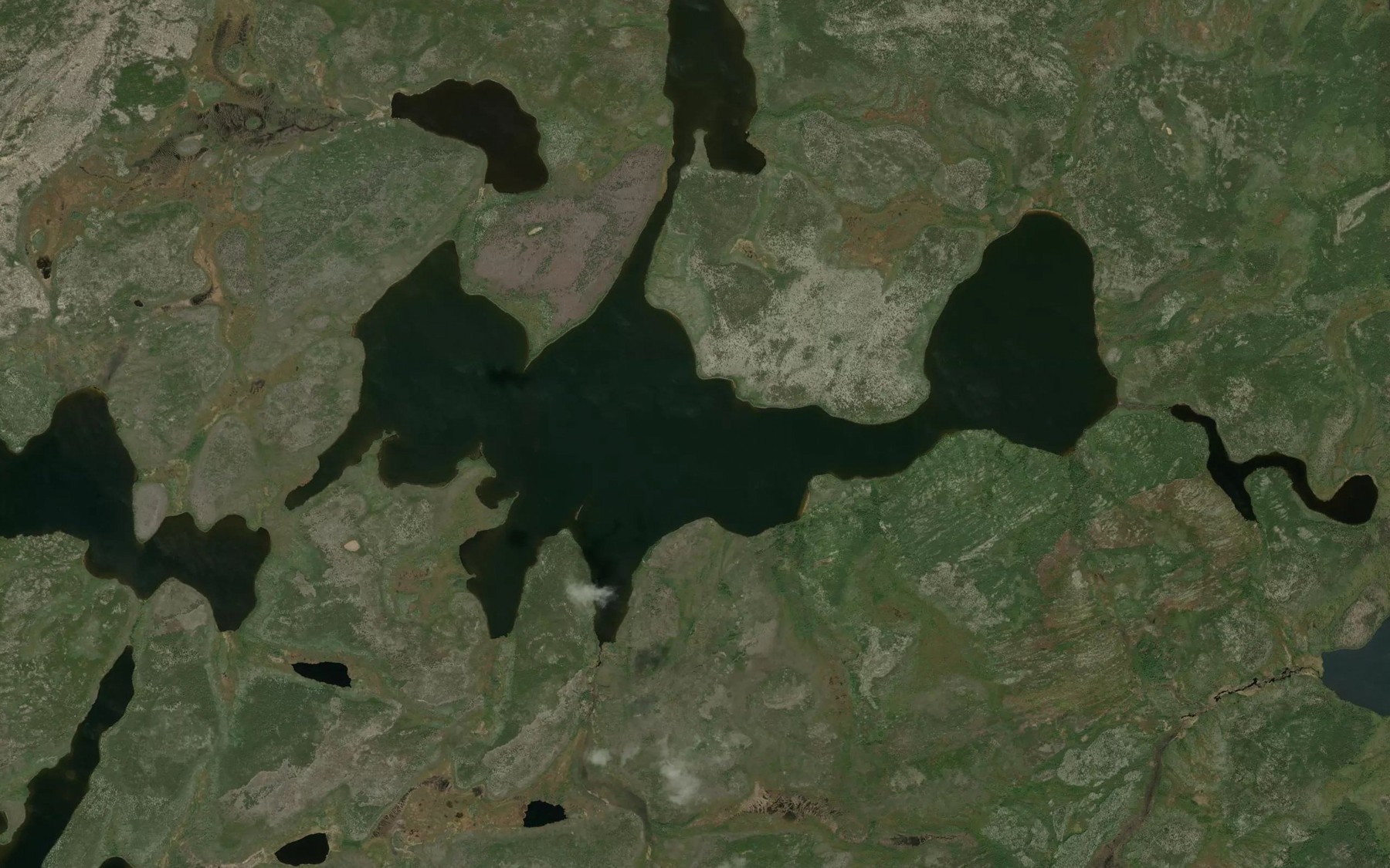 Satellite map of the Wapas Lake
