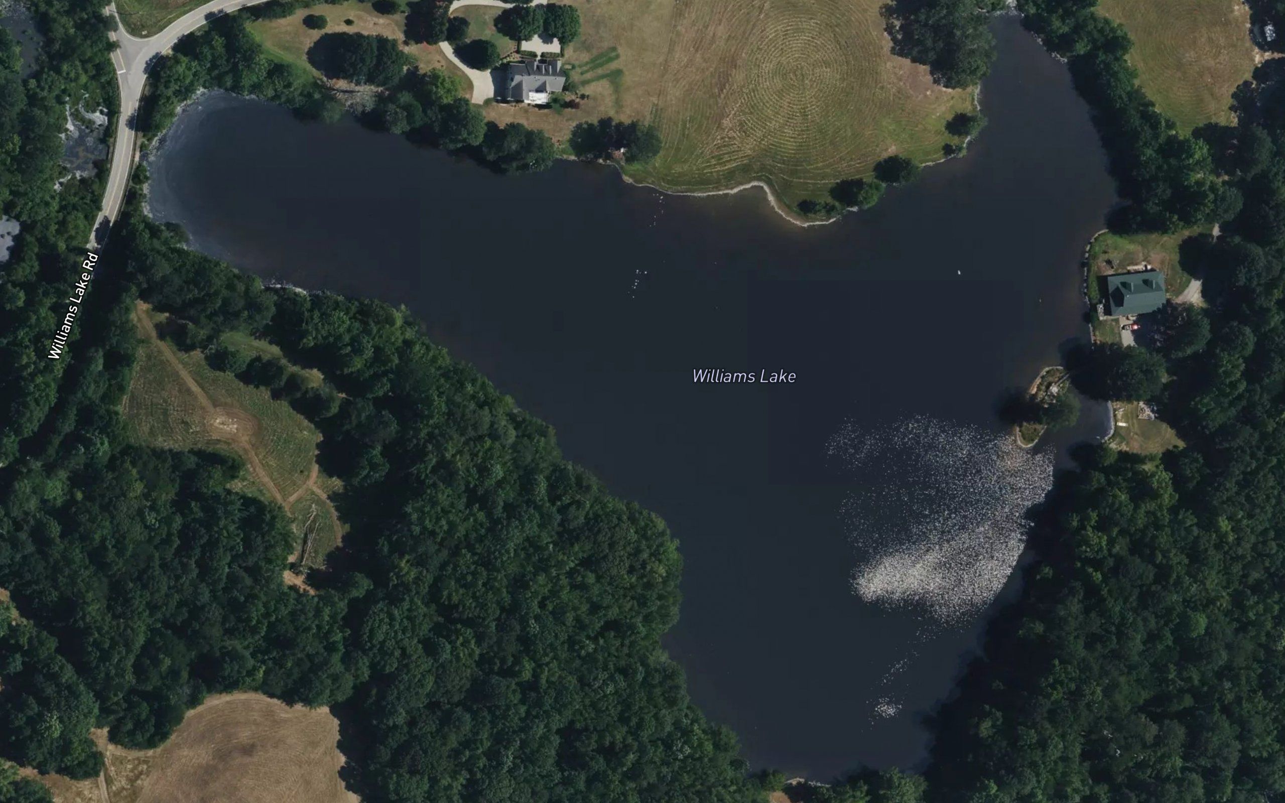 Williams Lake