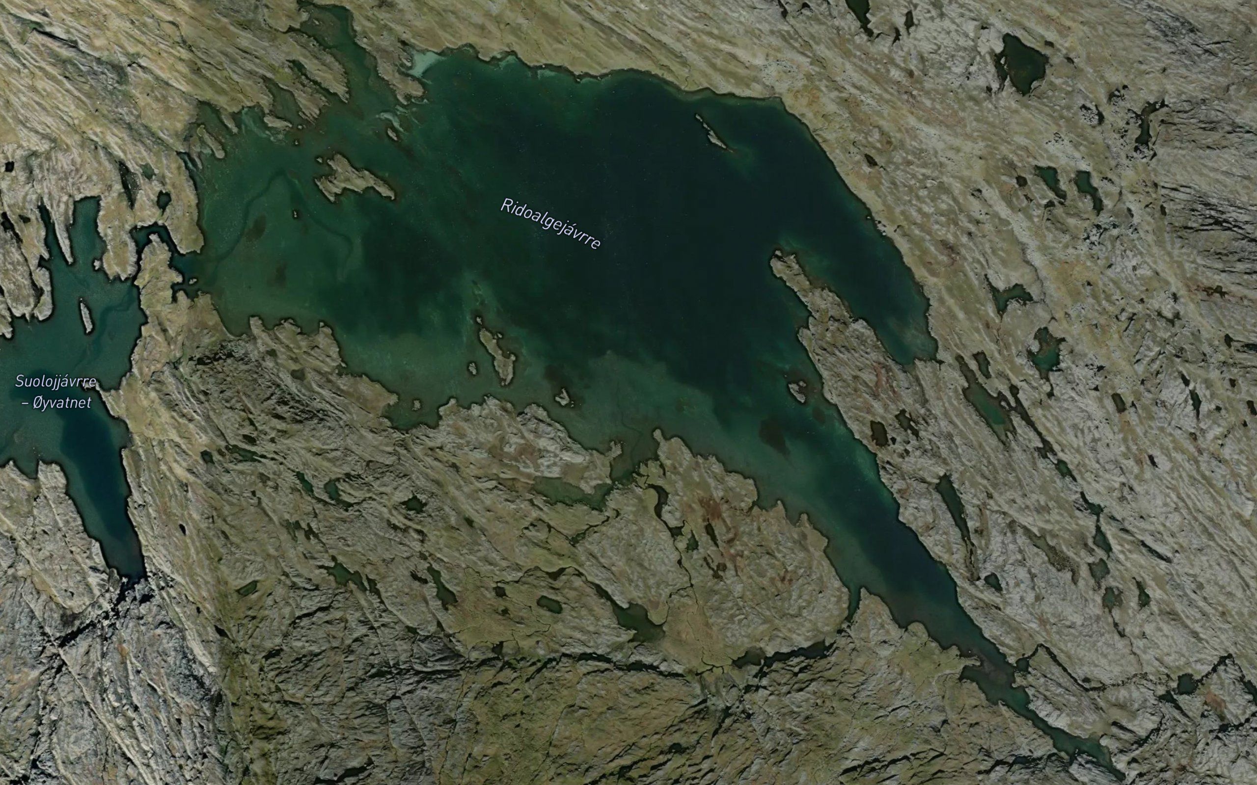 Ridoalggijavri