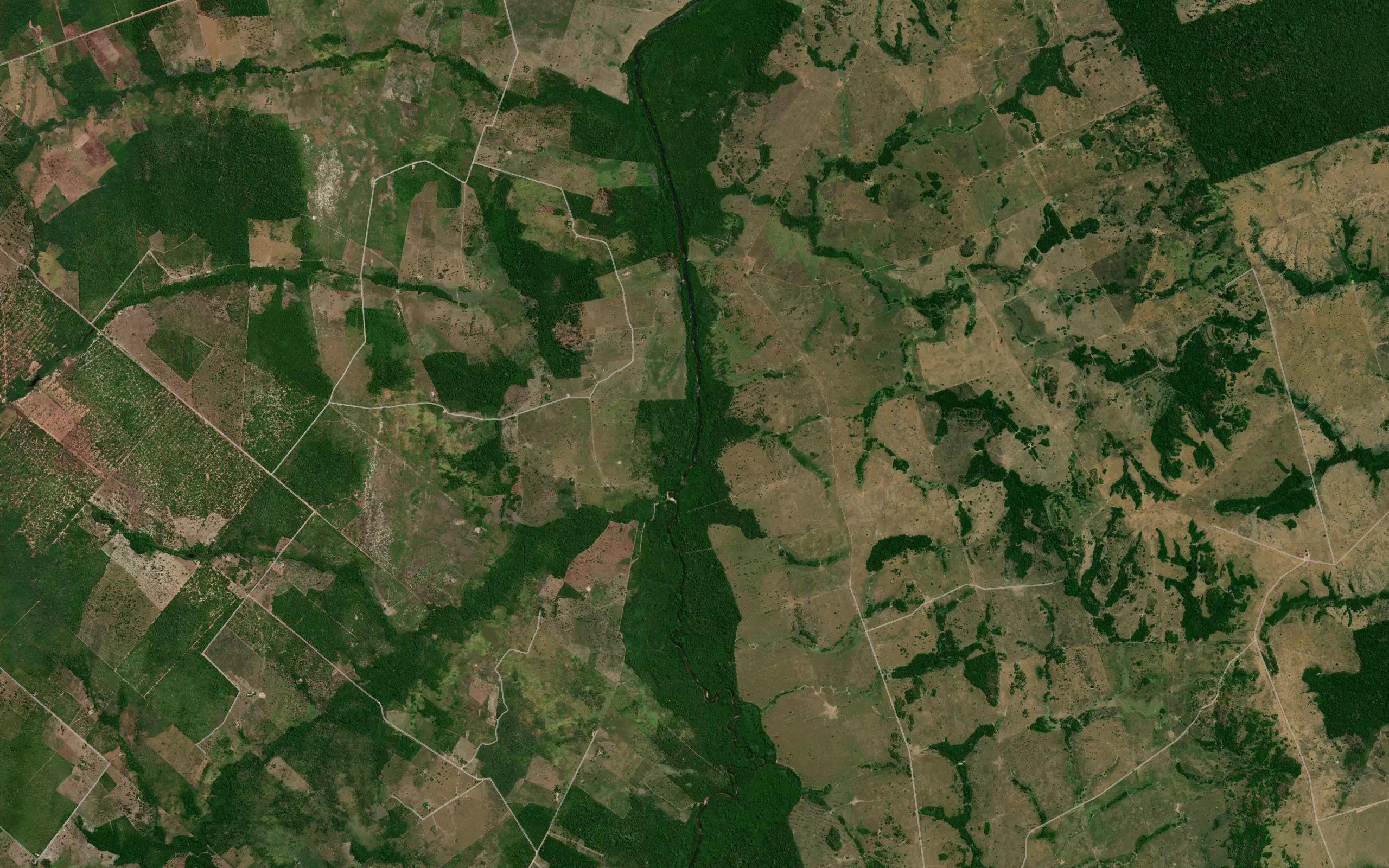 Ribeirao Mogno