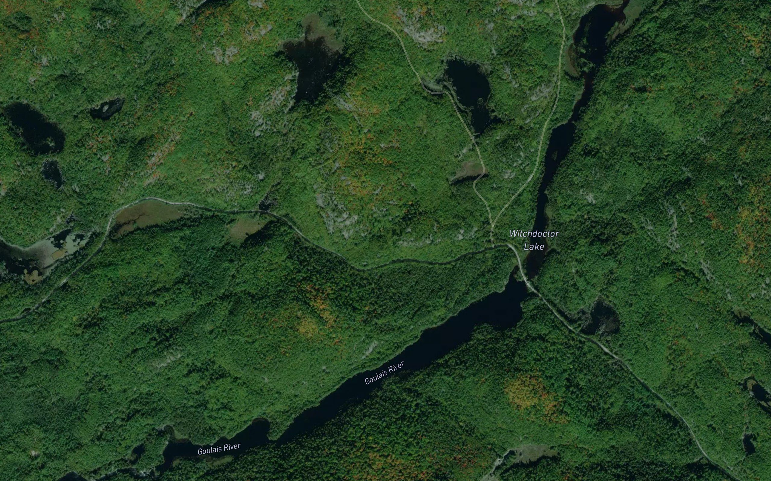 Witchdoctor Lake