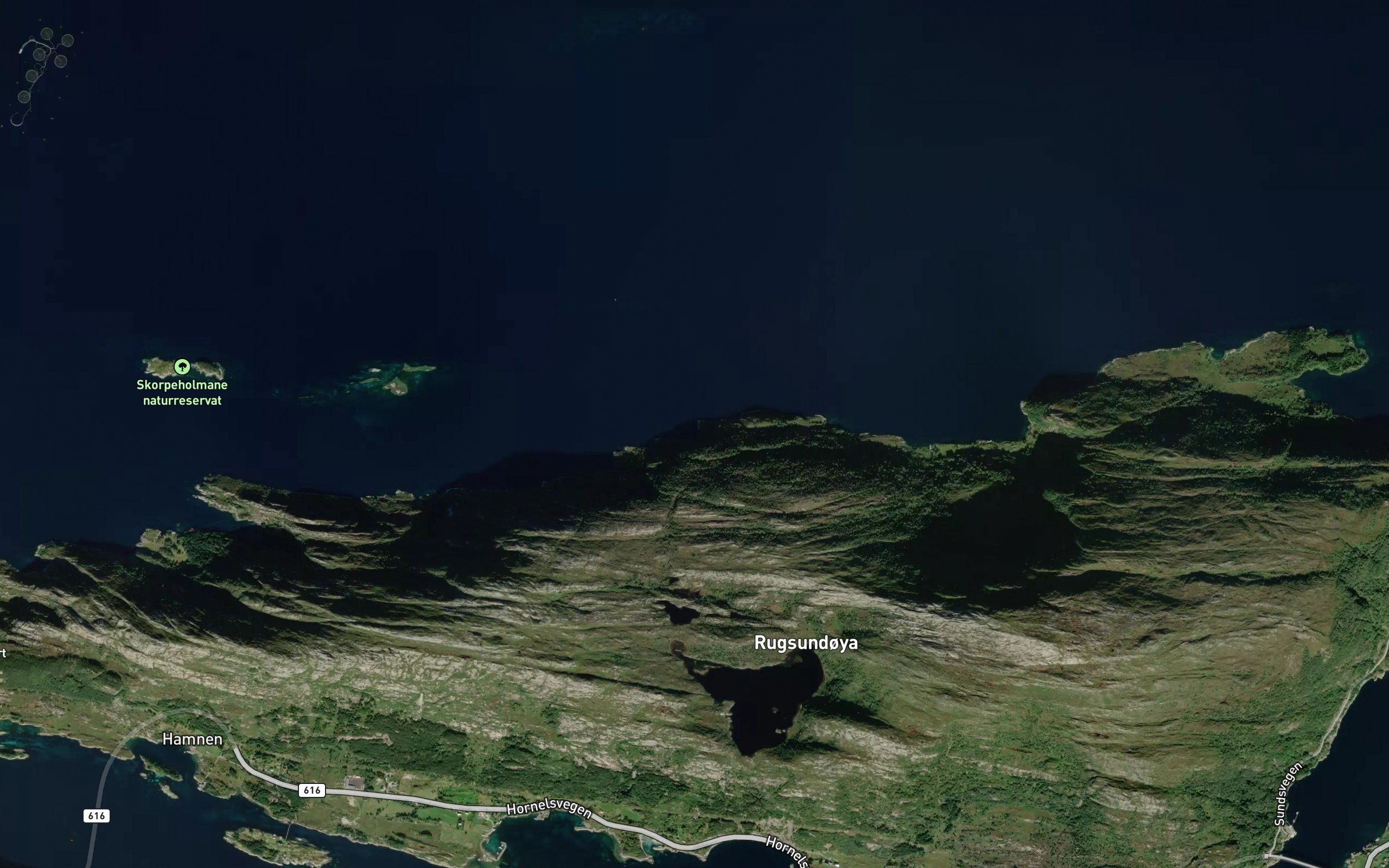 Stokkevik
