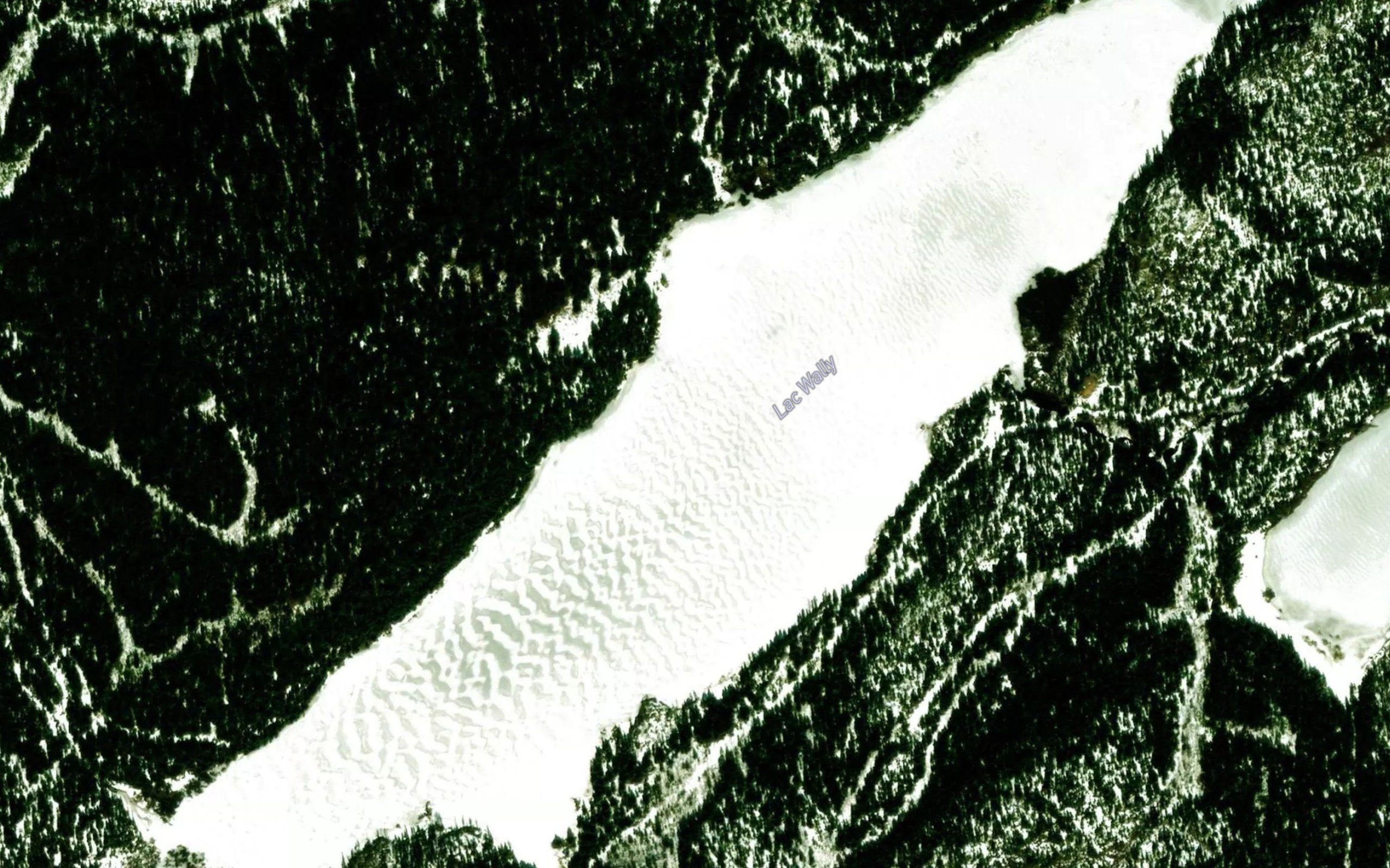 Lac Wally