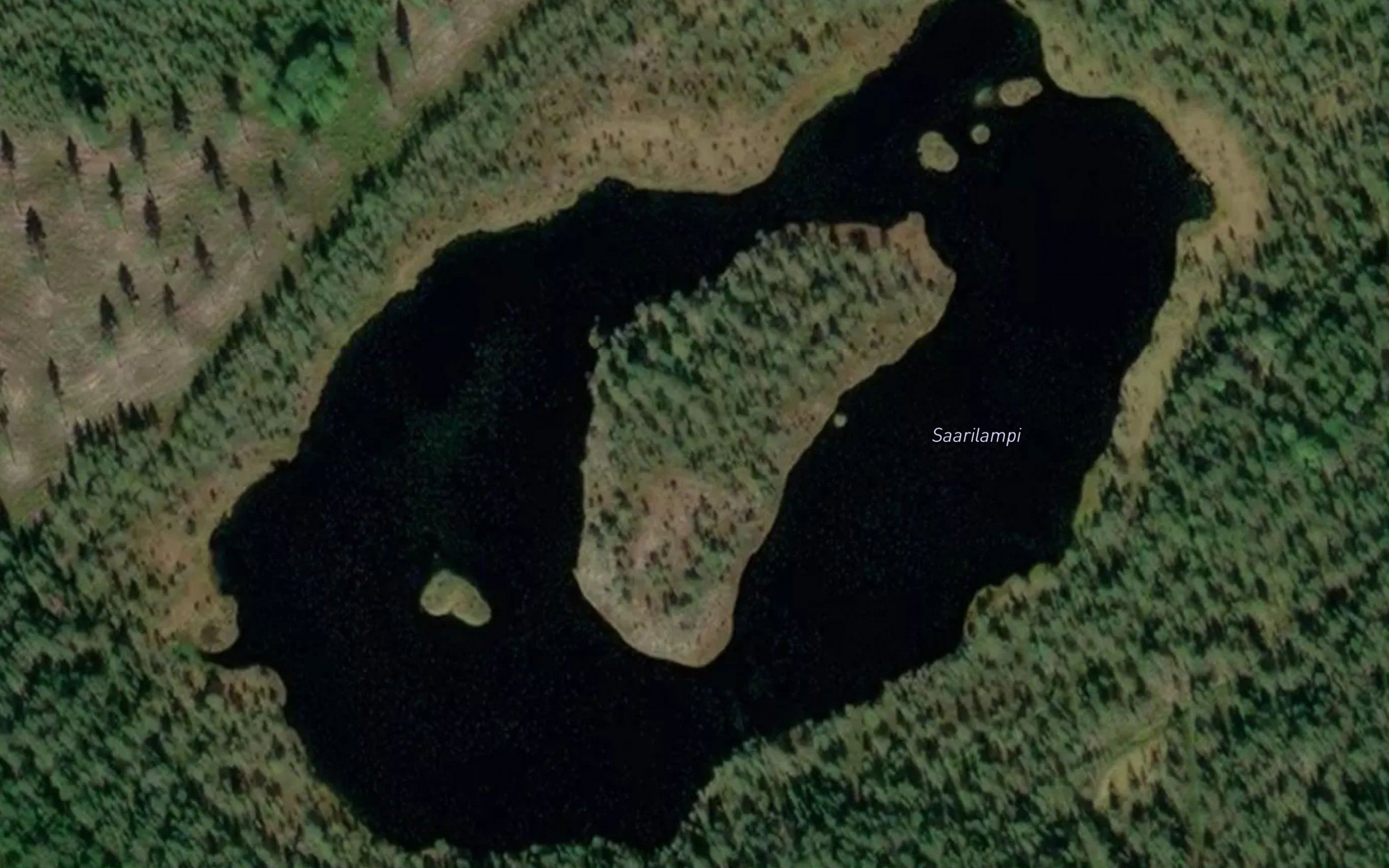 Saarilampi