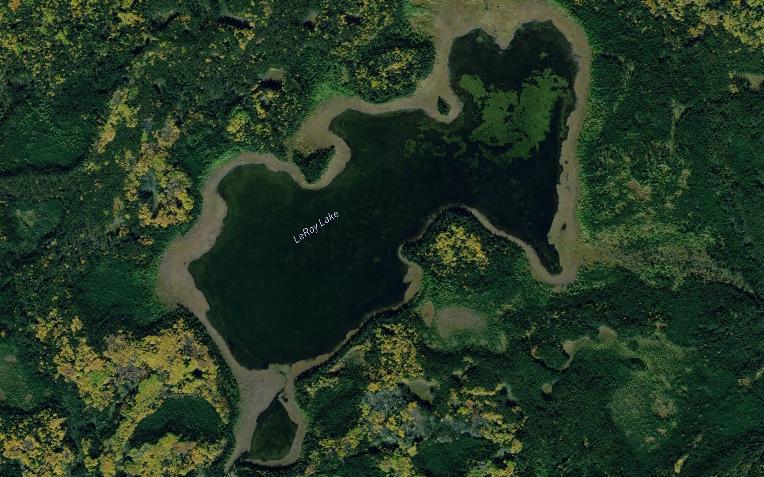 LeRoy Lake