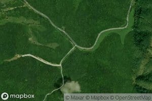 Brammer Branch
