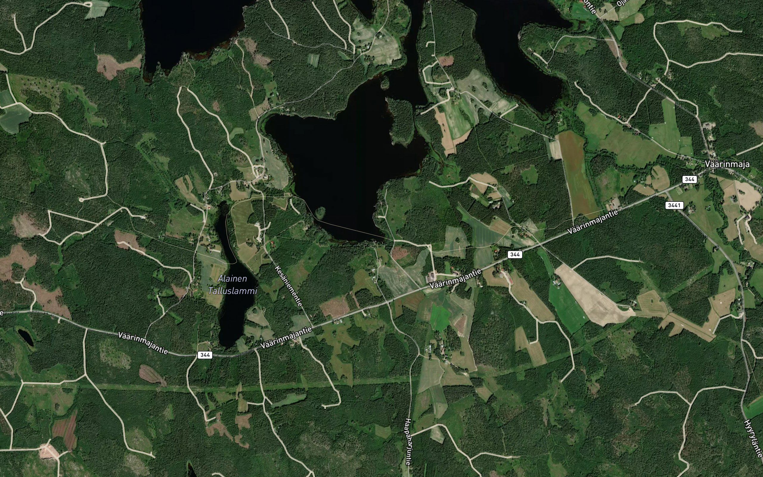 Kiimalahti