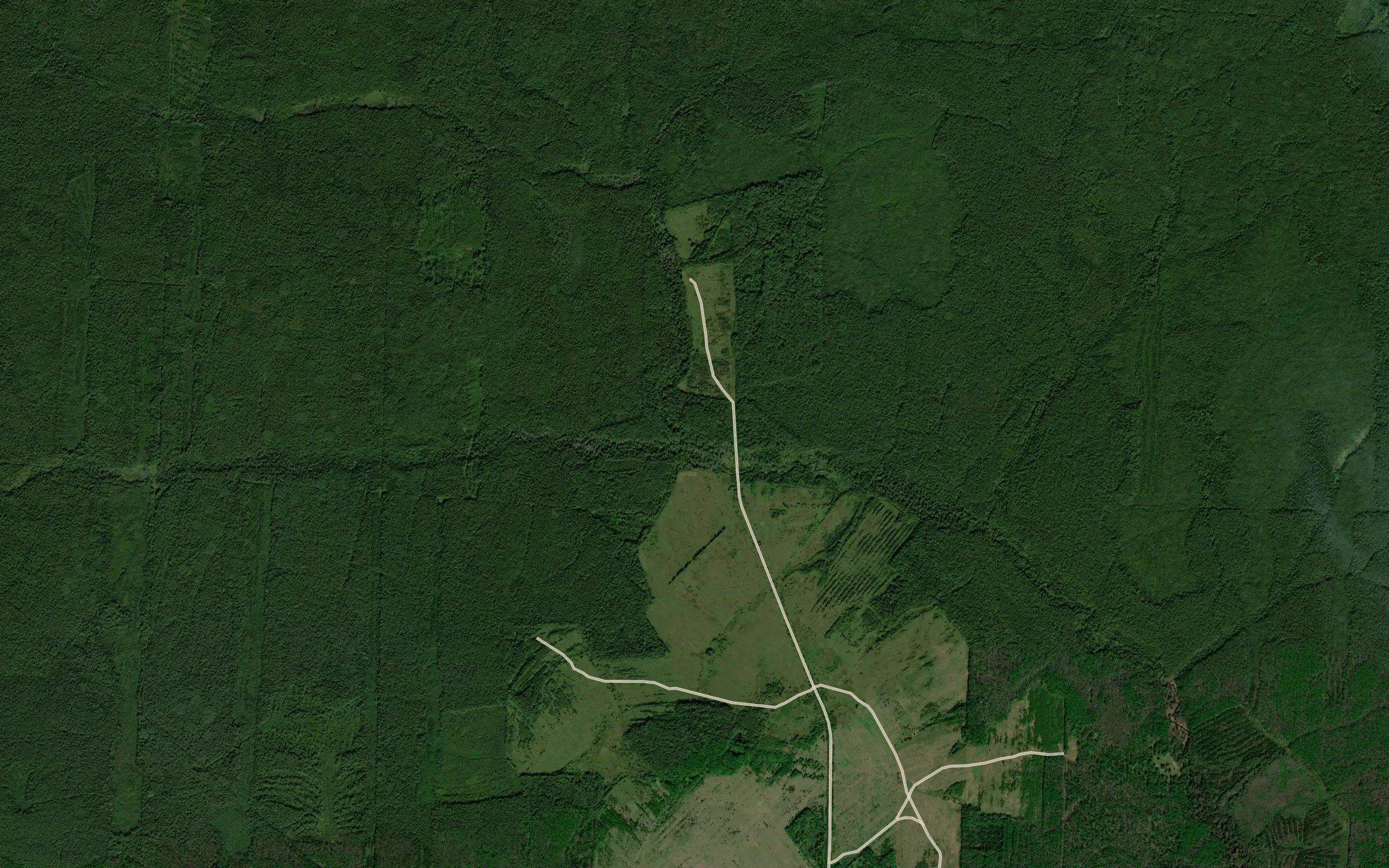 Dubovka