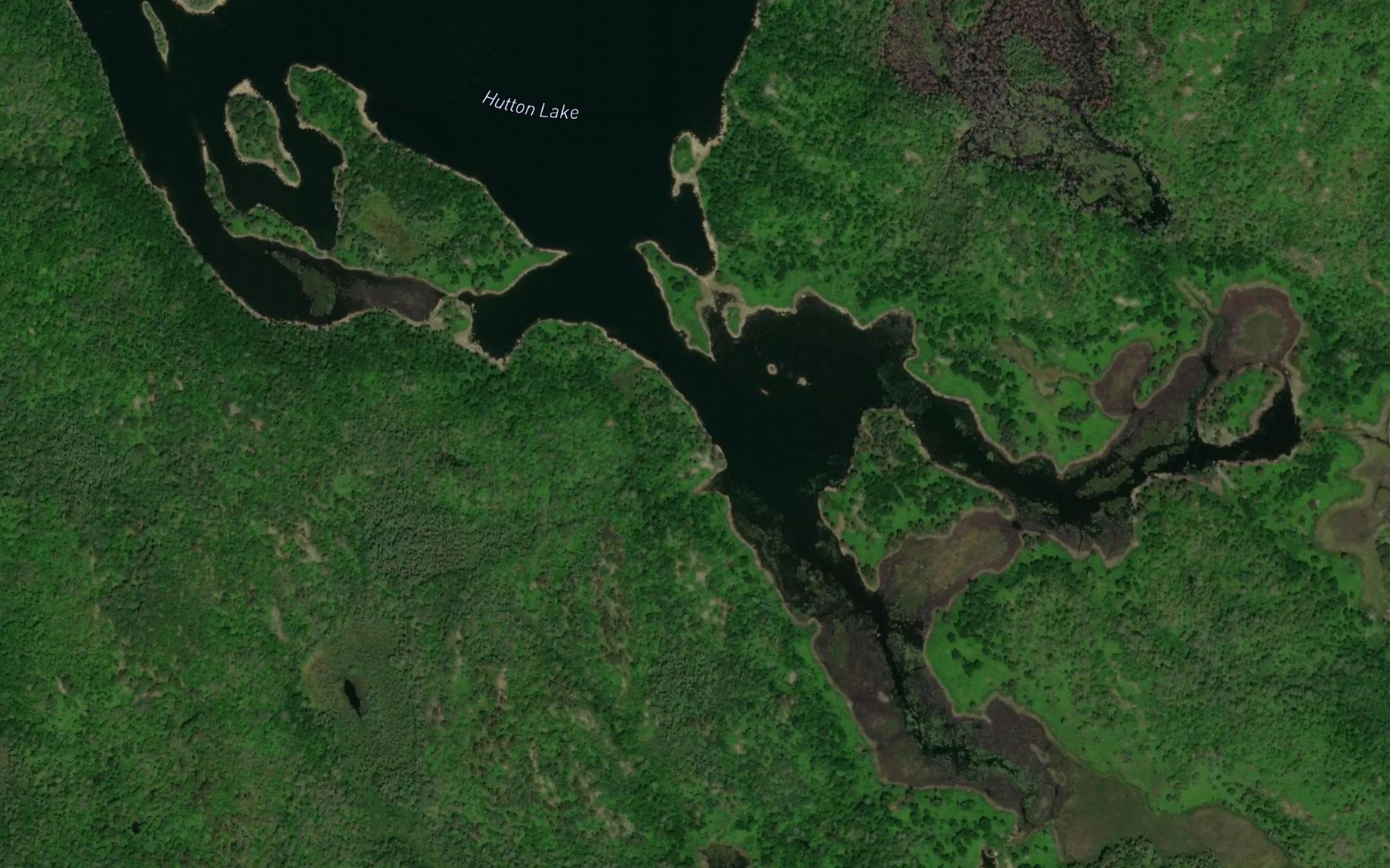 Satellite map of the Hutton Lake