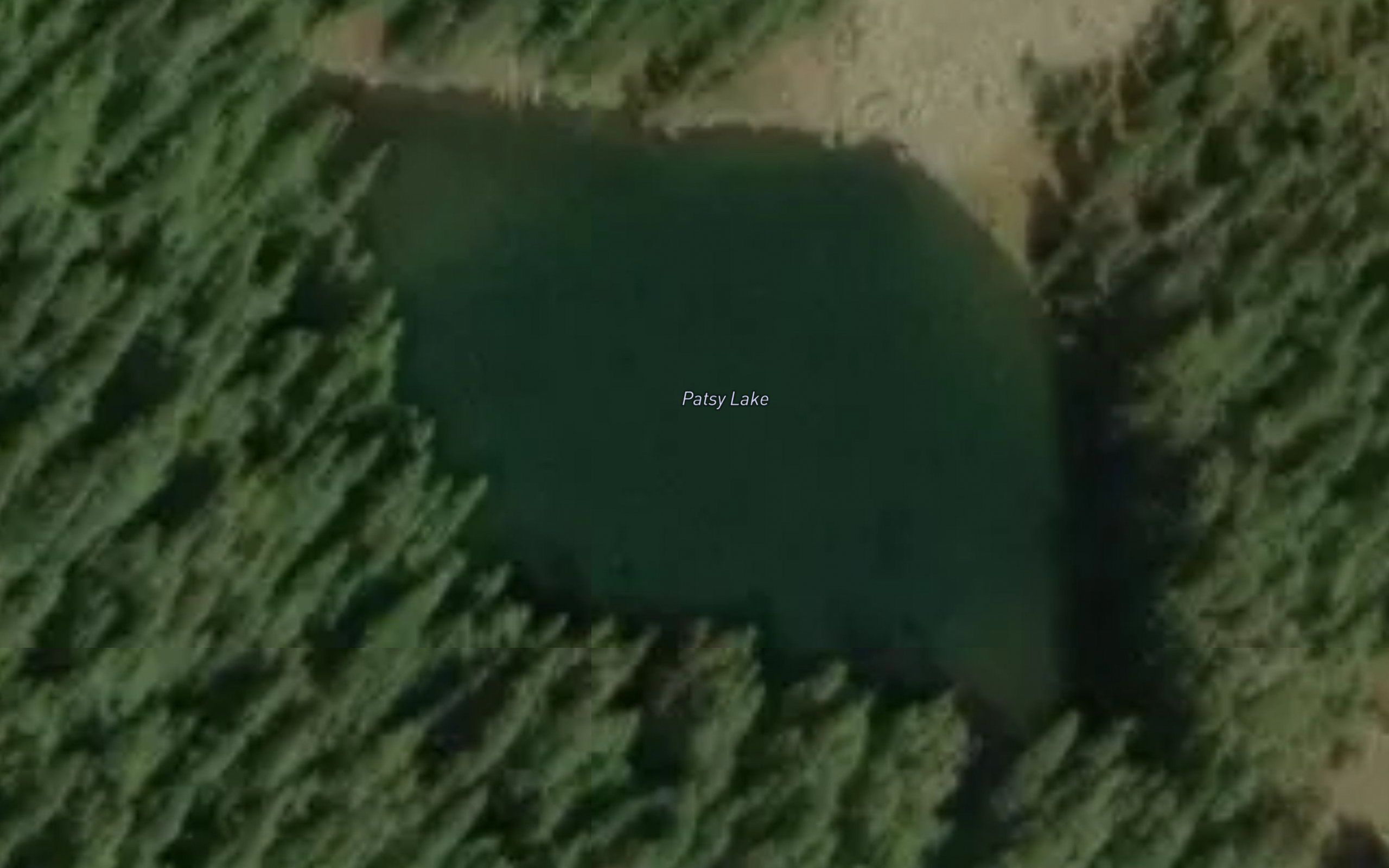 Patsy Lake