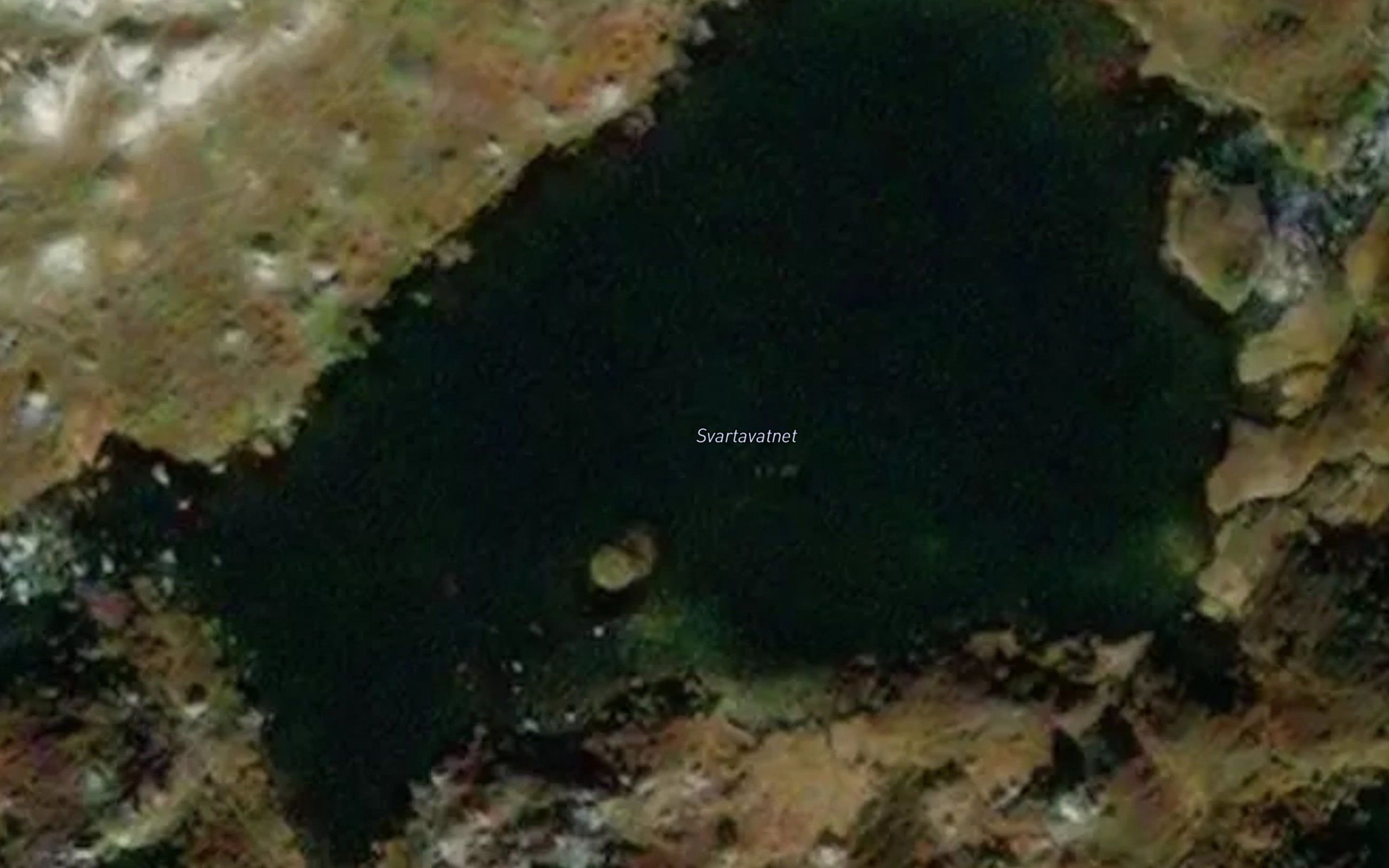 Svartavatnet
