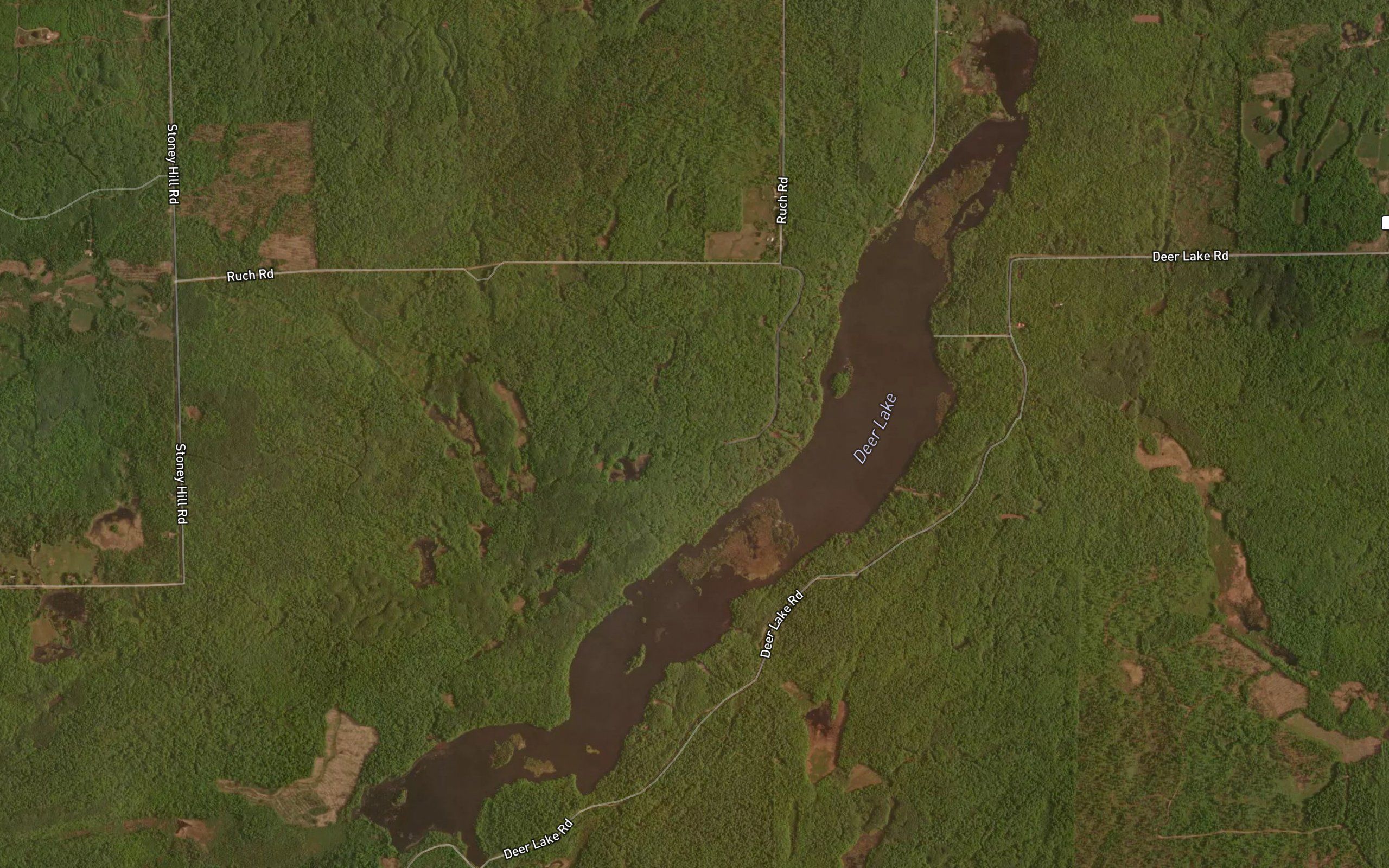 Deer Lake