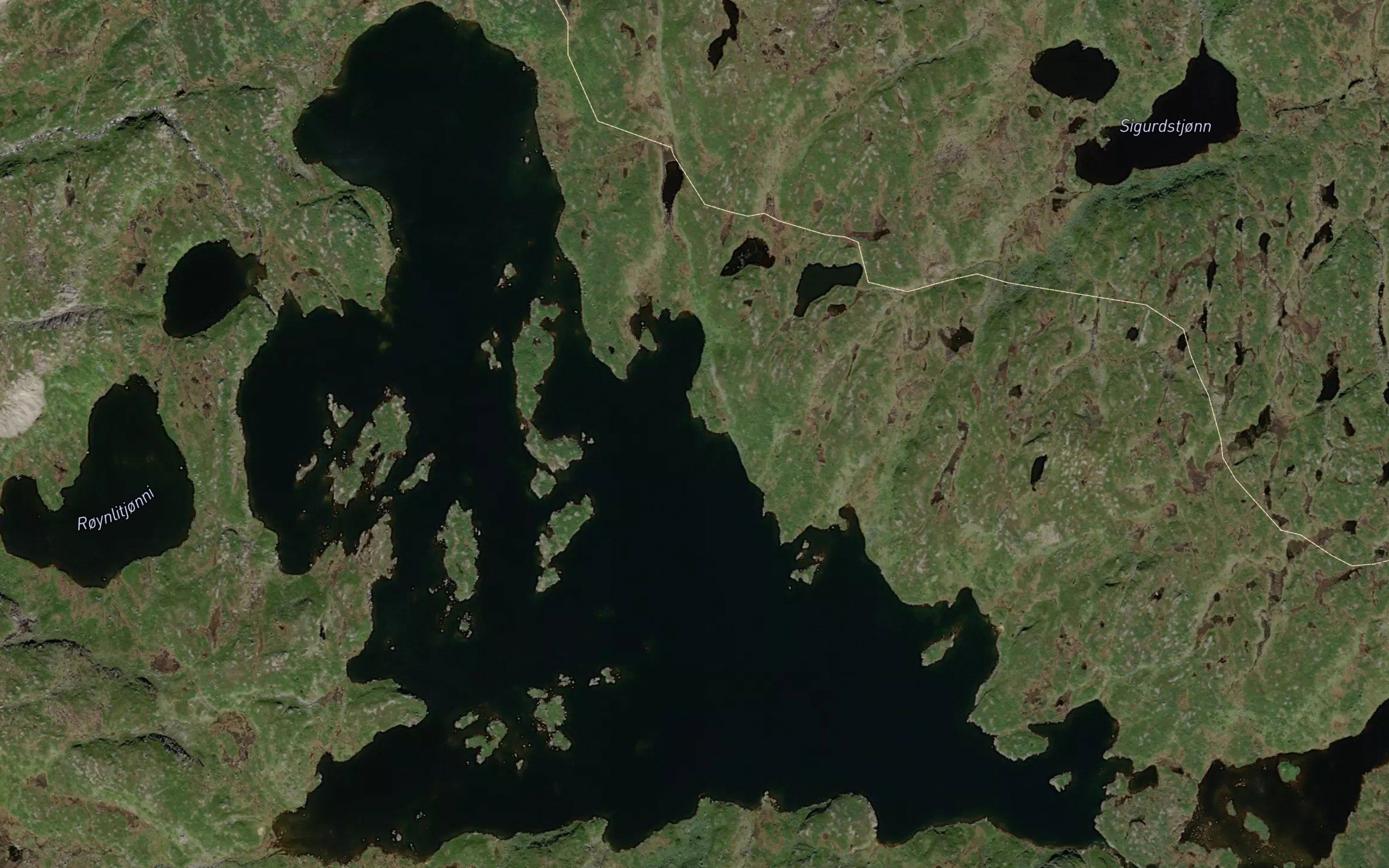 Roynlivatnet