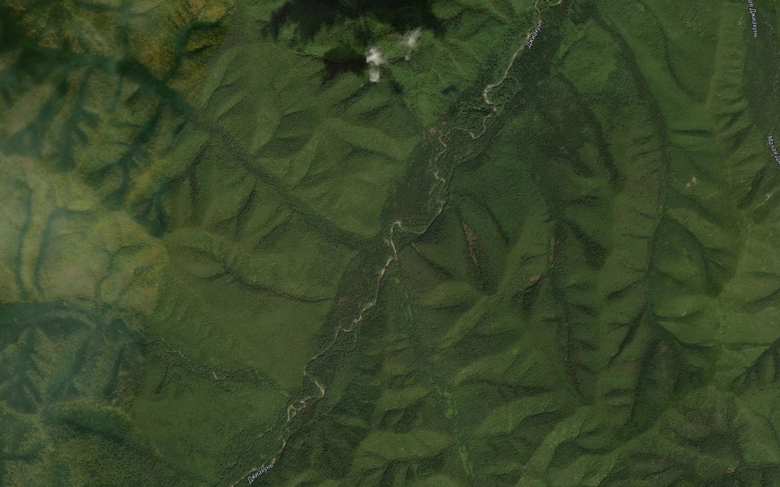 Topografov