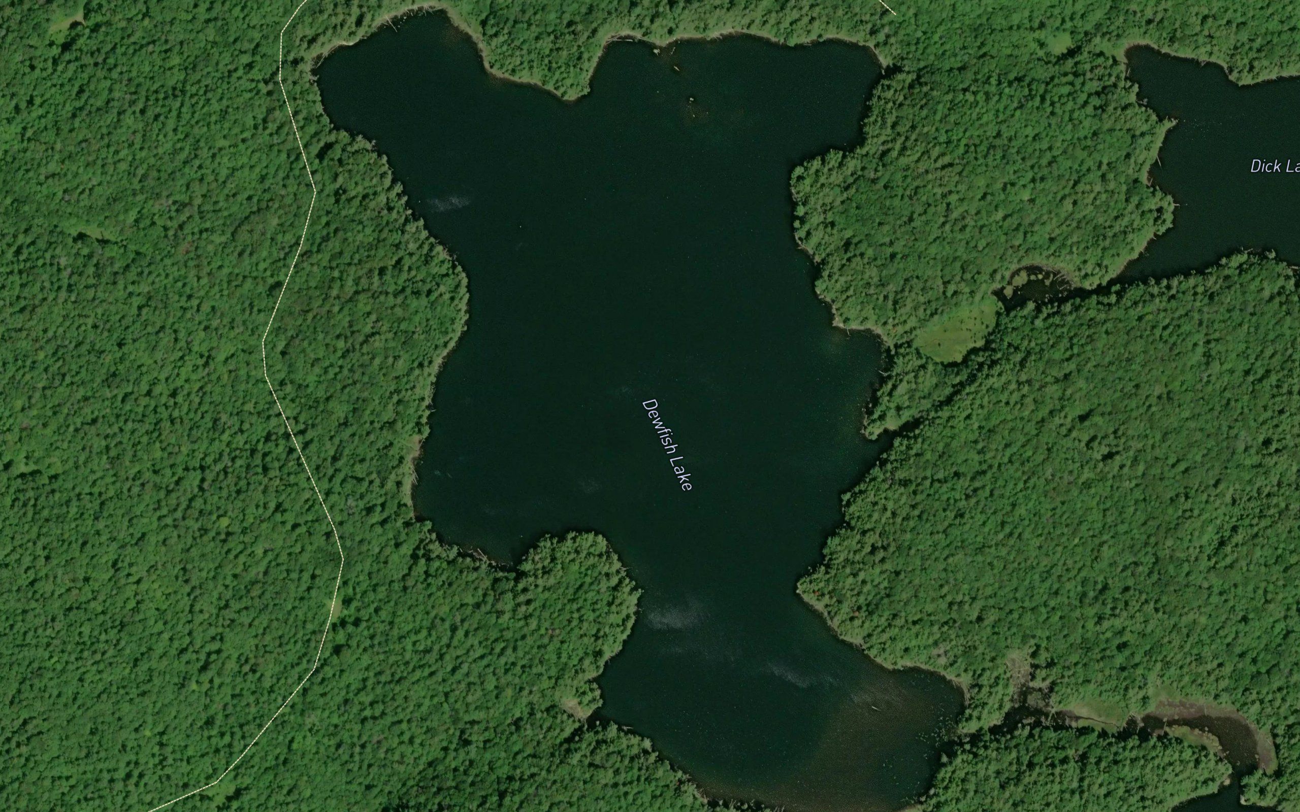 Dewfish Lake