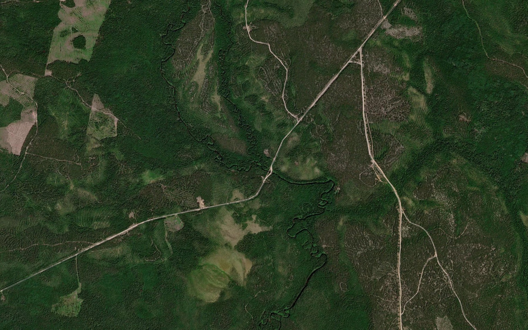 Satellite map of the Tsybin