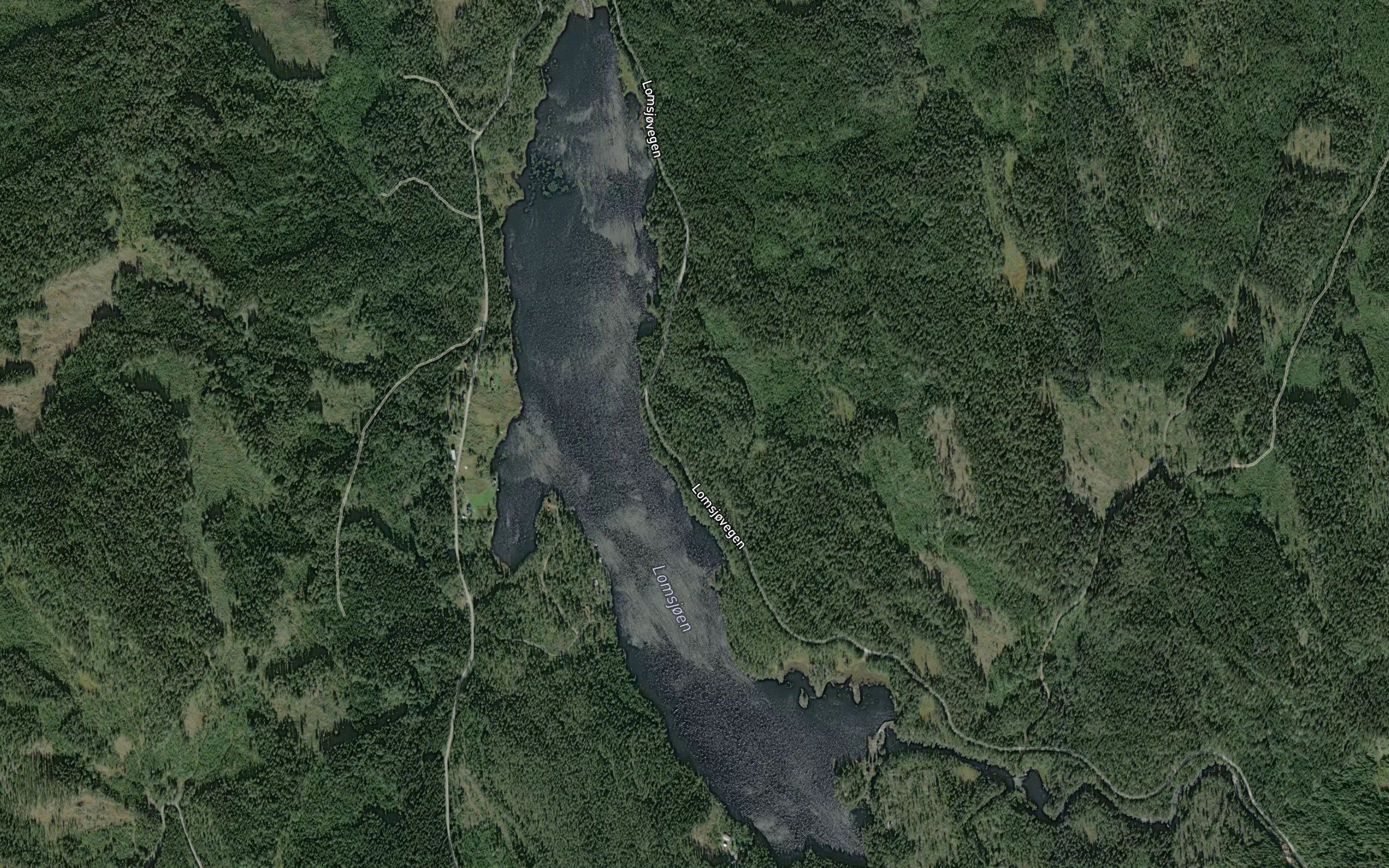 Lomsjoen