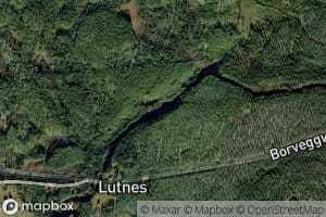 Lutuaa