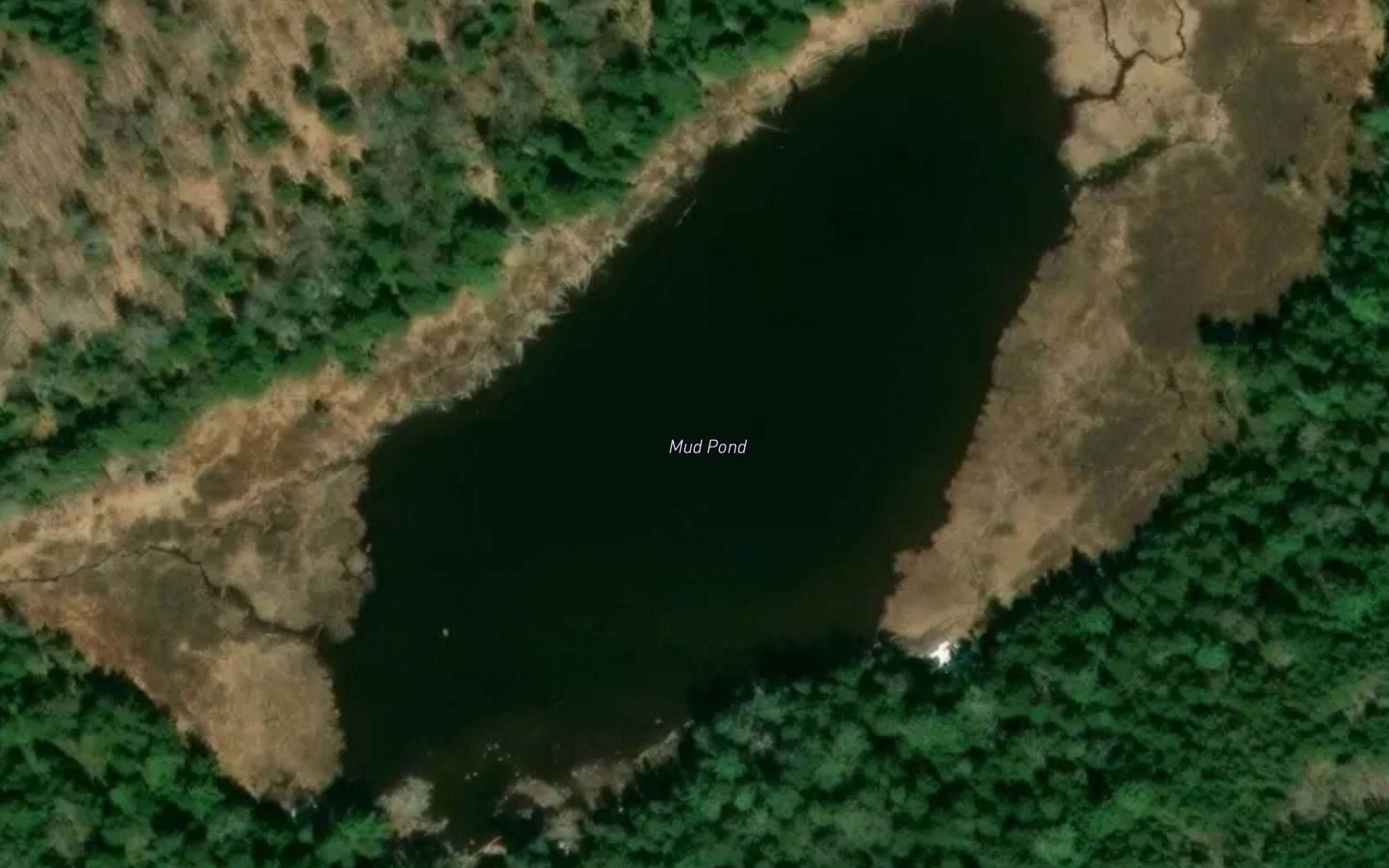 Mud Pond