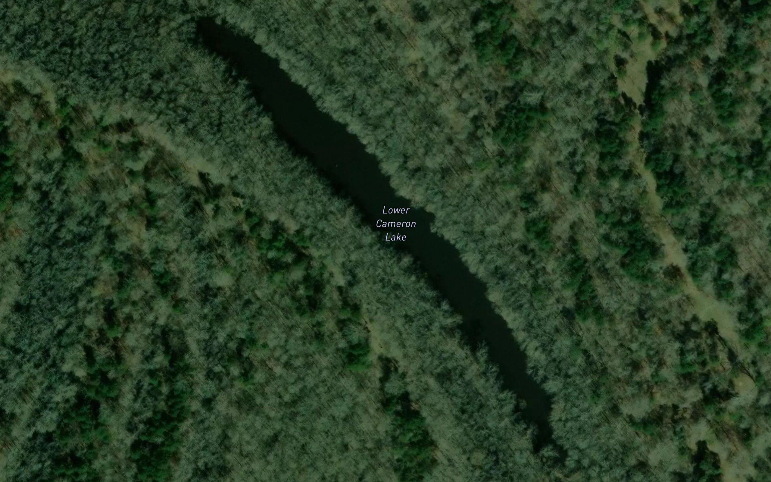 Lower Cameron Lake