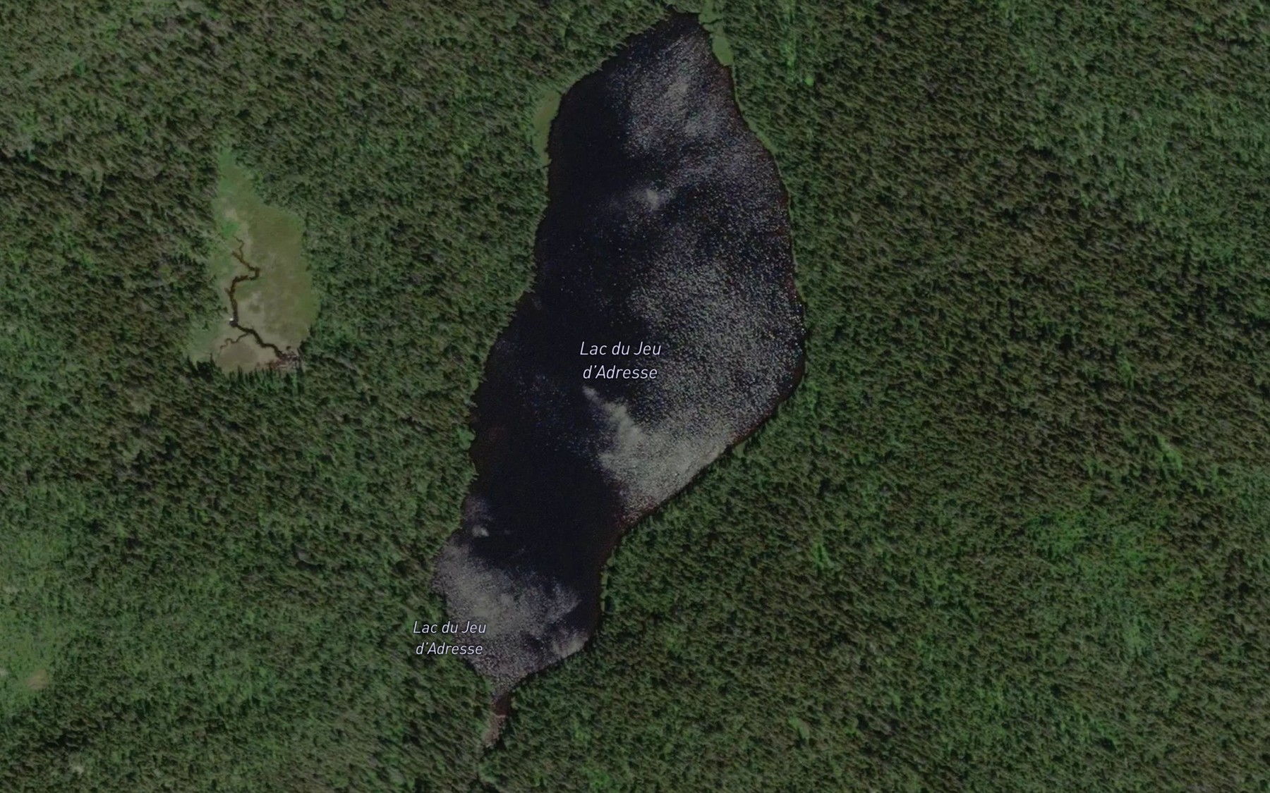 Satellite map of the Lac du Jeu d'Adresse