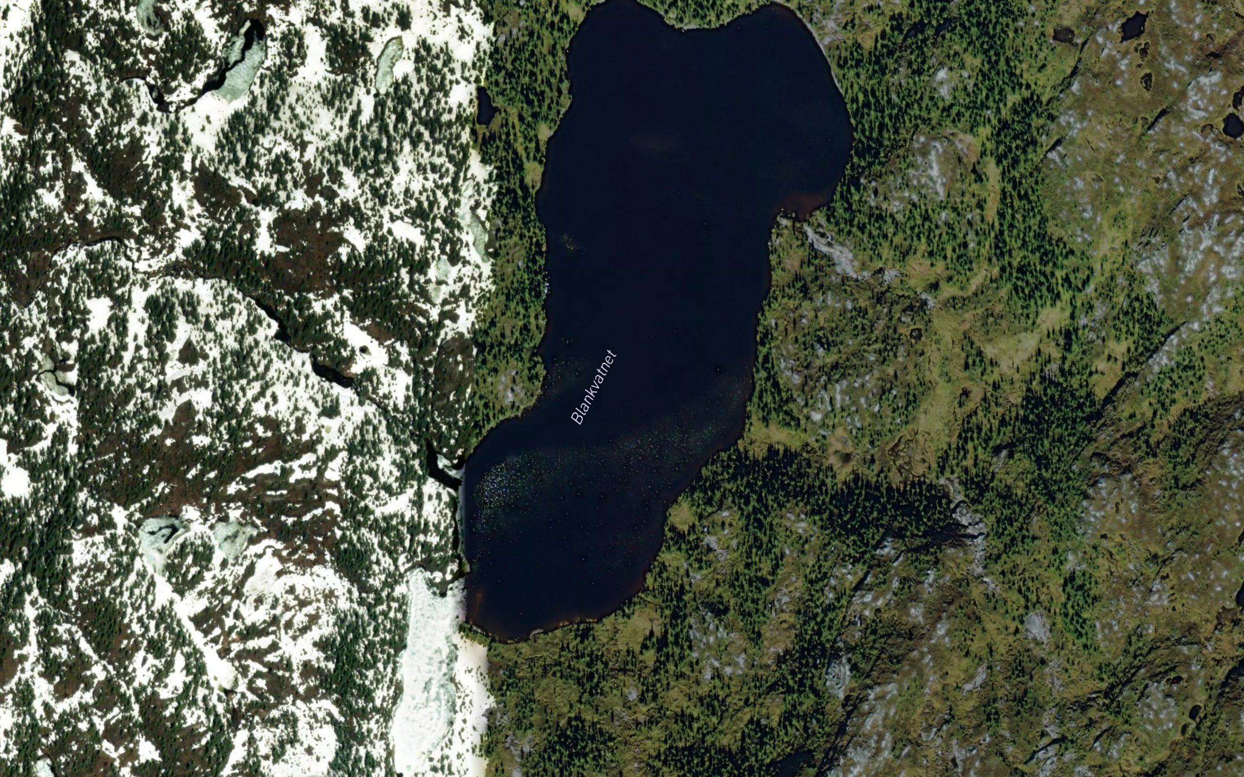 Blankvannet