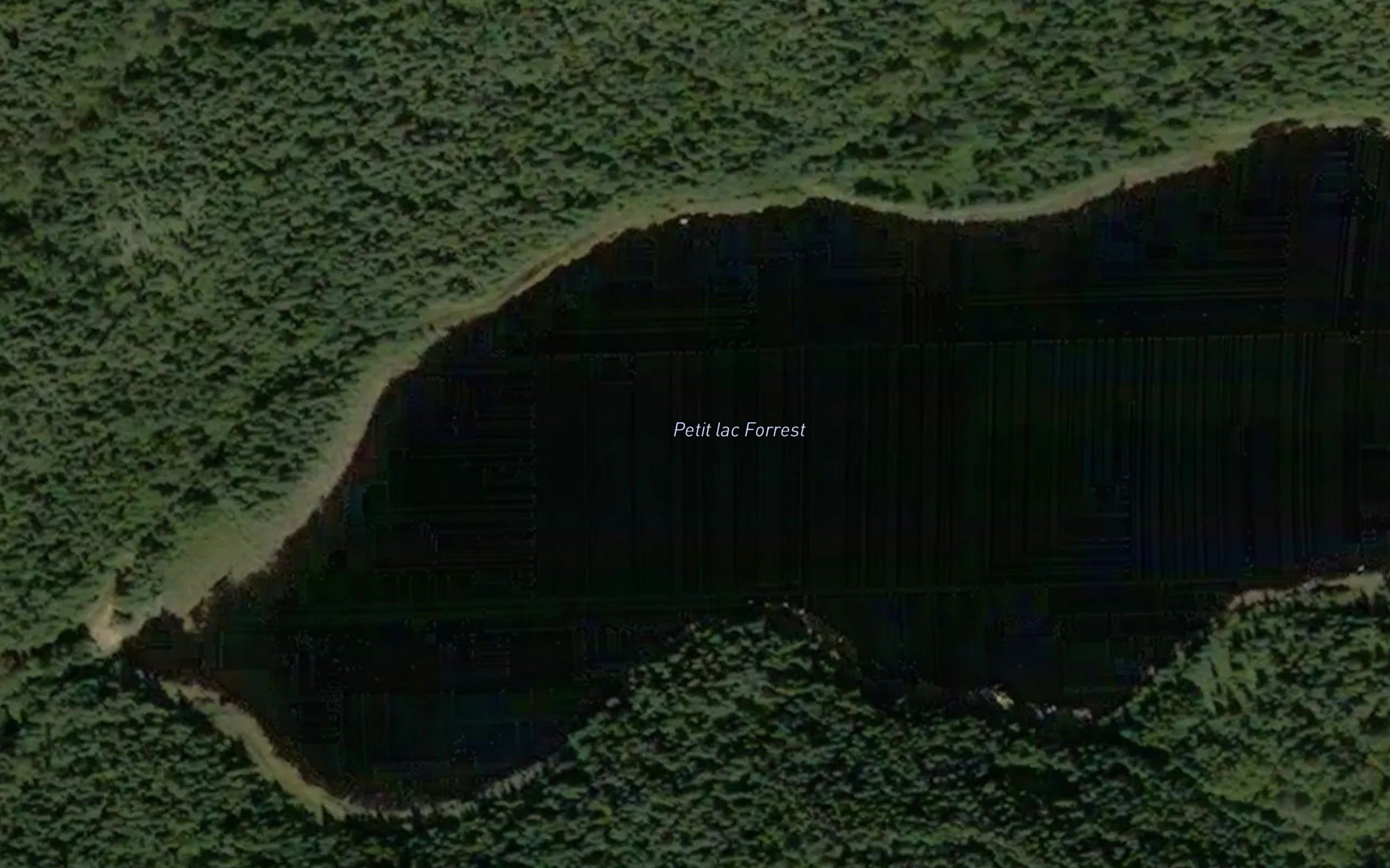 Petit lac Forrest