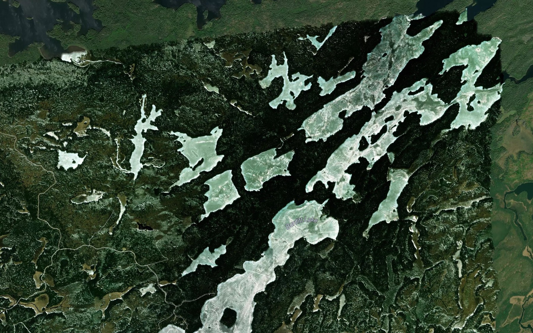 Satellite map of the Graham Lake