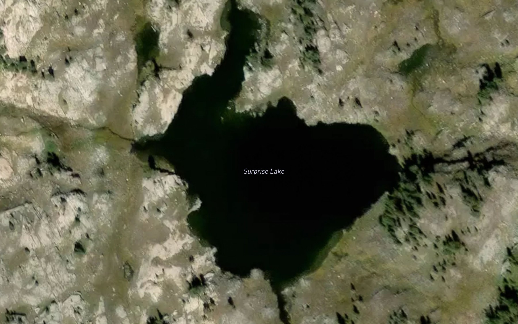 Satellite map of the Surprise Lake