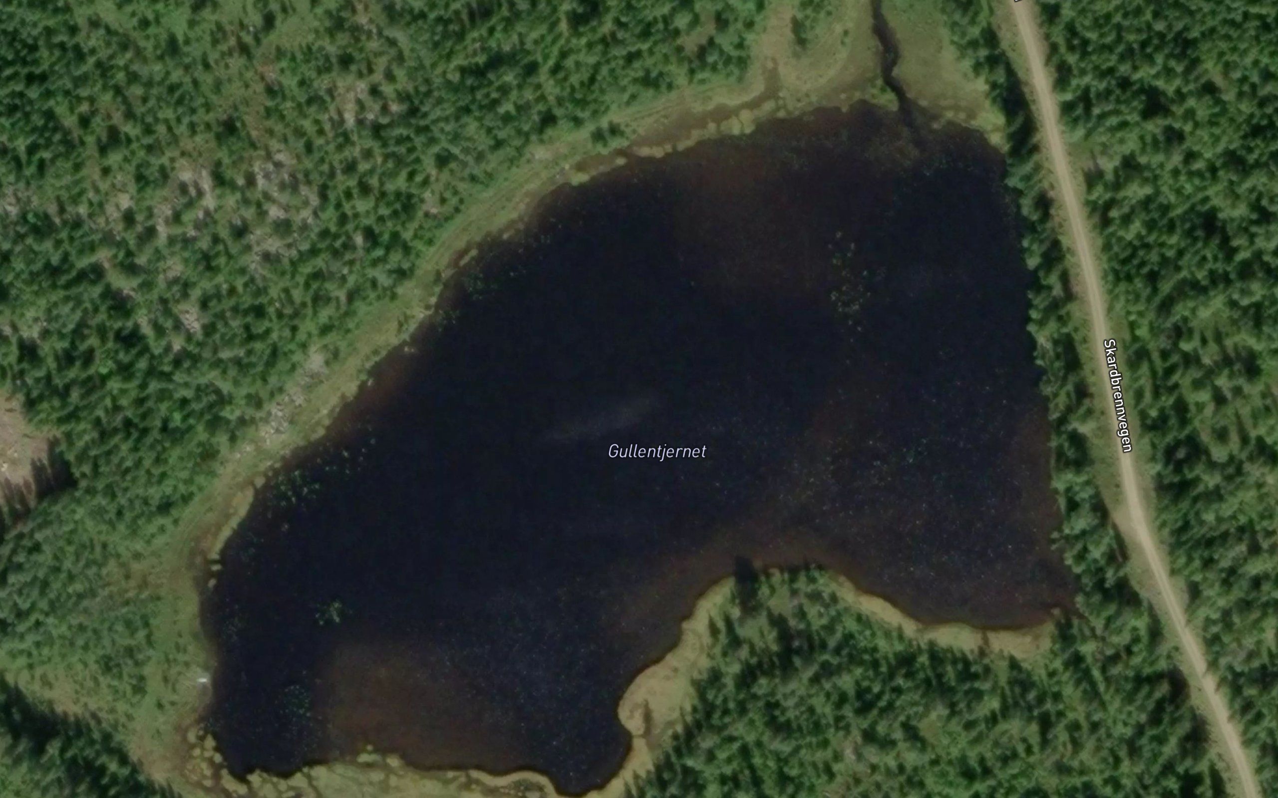 Gullentjernet