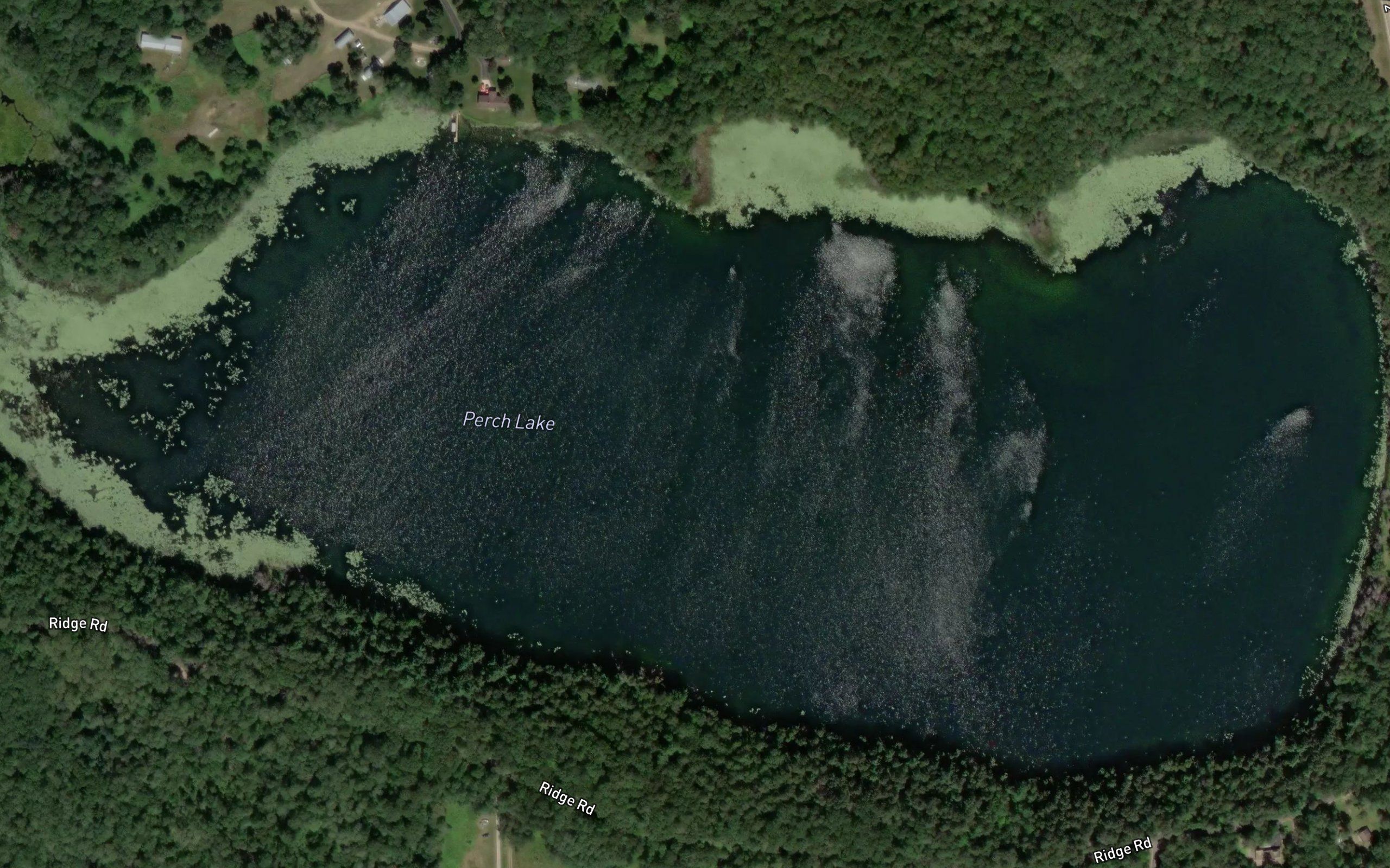 Perch Lake