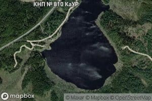 Paskojaervi