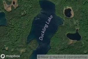 Duckling Lake