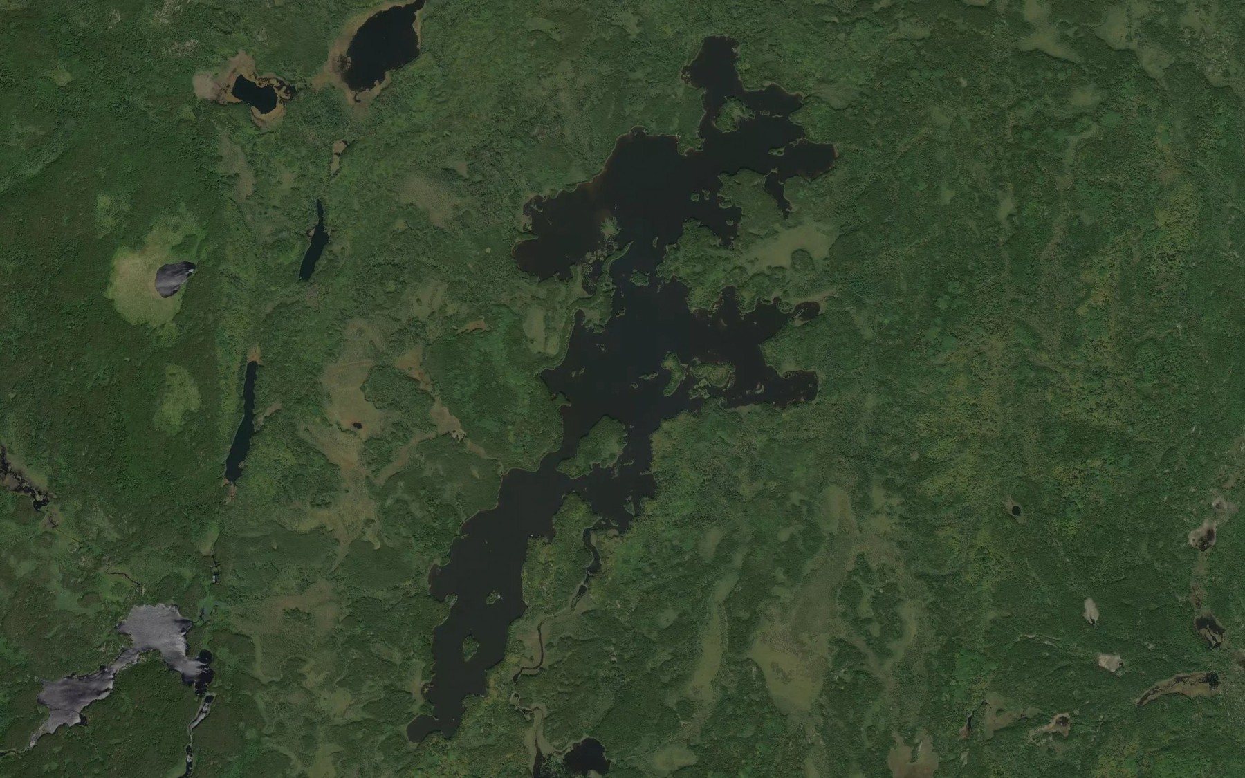 Satellite map of the Whitebirch Lake