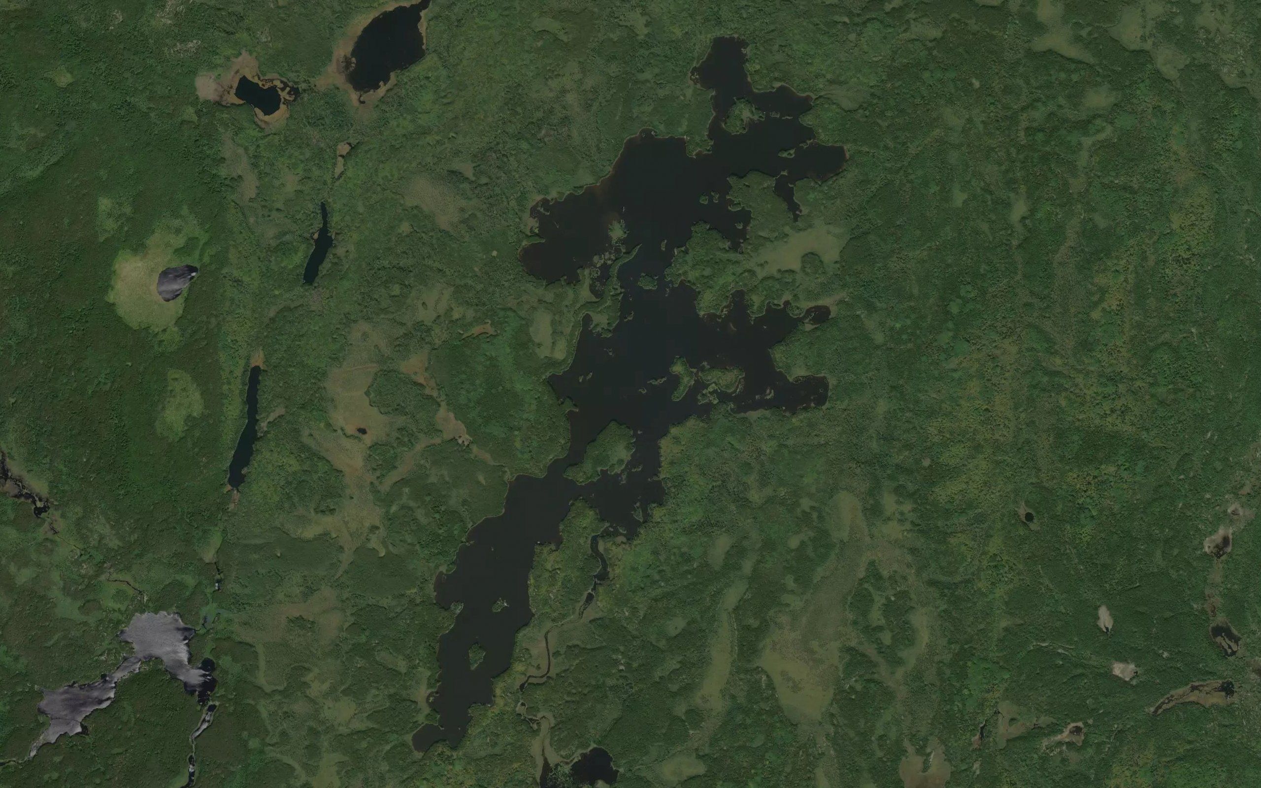 Whitebirch Lake