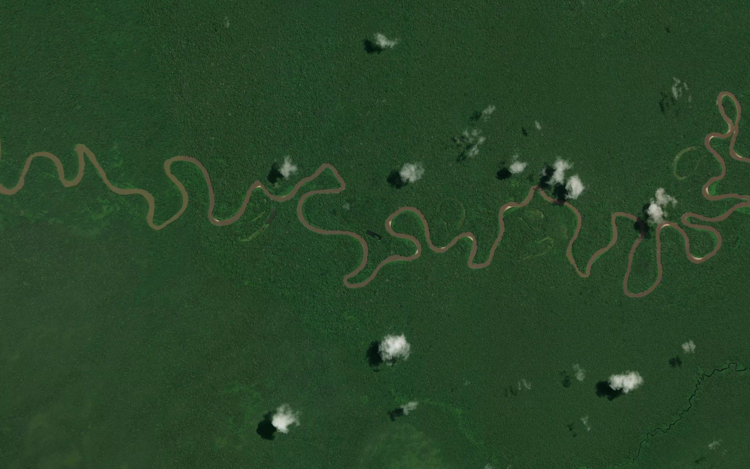 Laguna Yarina