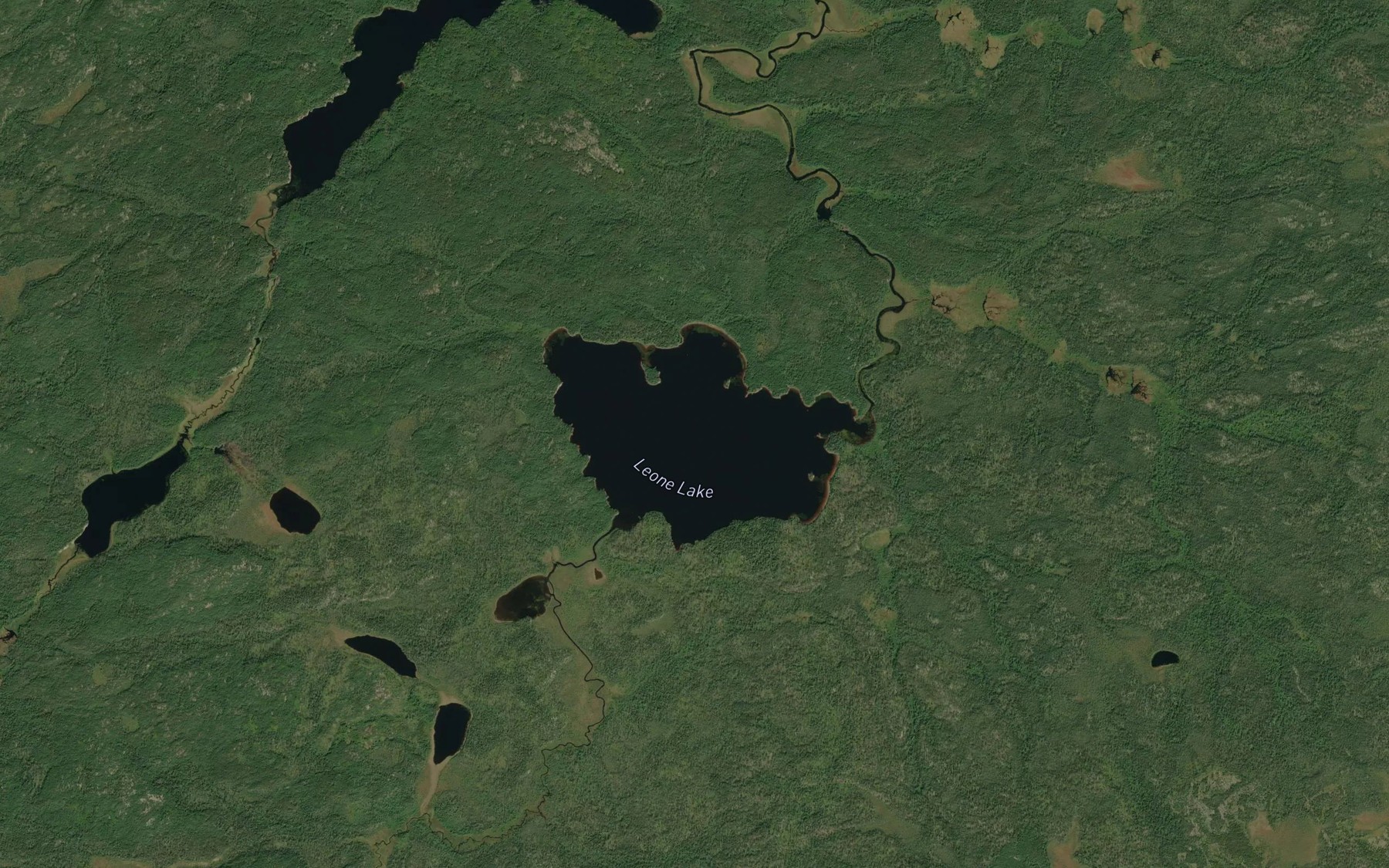 Satellite map of the Leone Lake