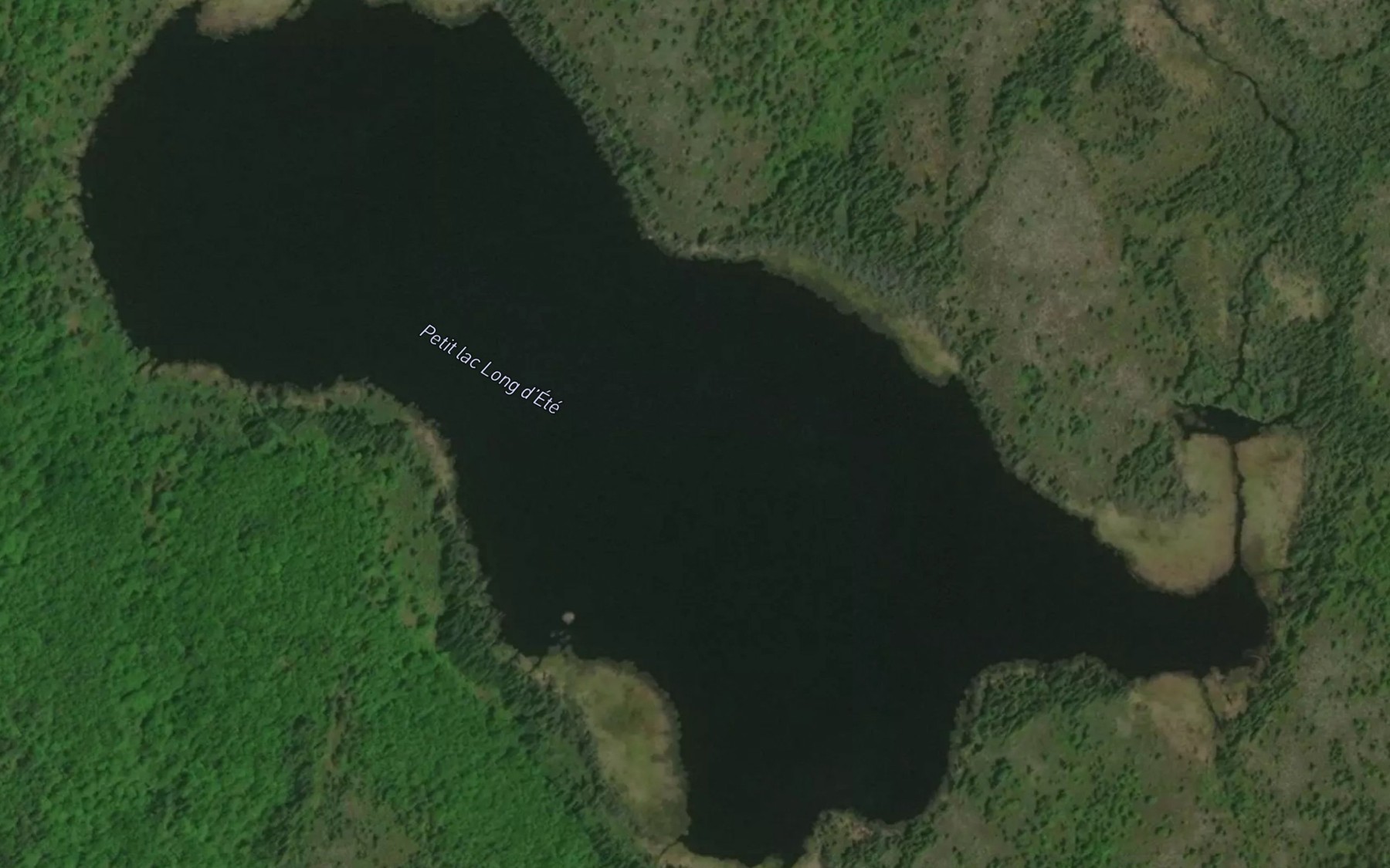 Satellite map of the Petit lac Long d'Ete